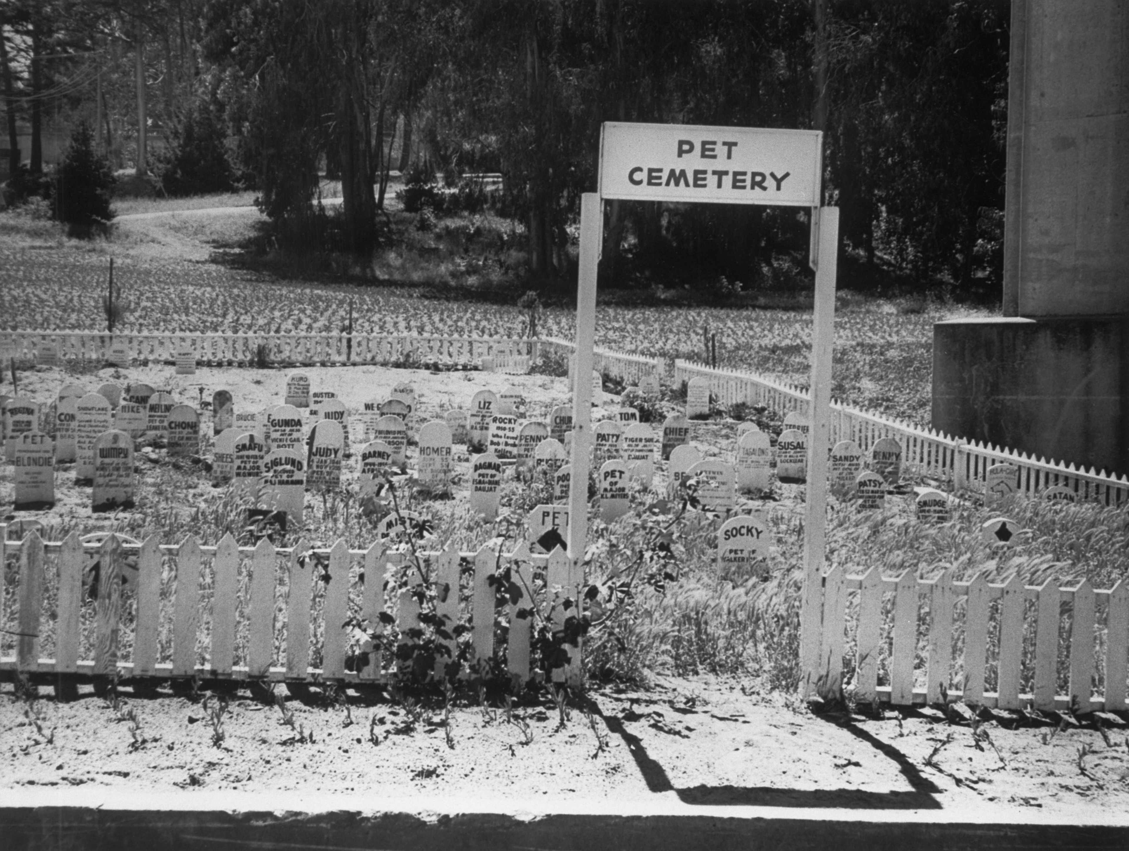 A fenced pet cemetery with numerous small headstones behind a sign that reads "PET CEMETERY," surrounded by trees and grassy ground.