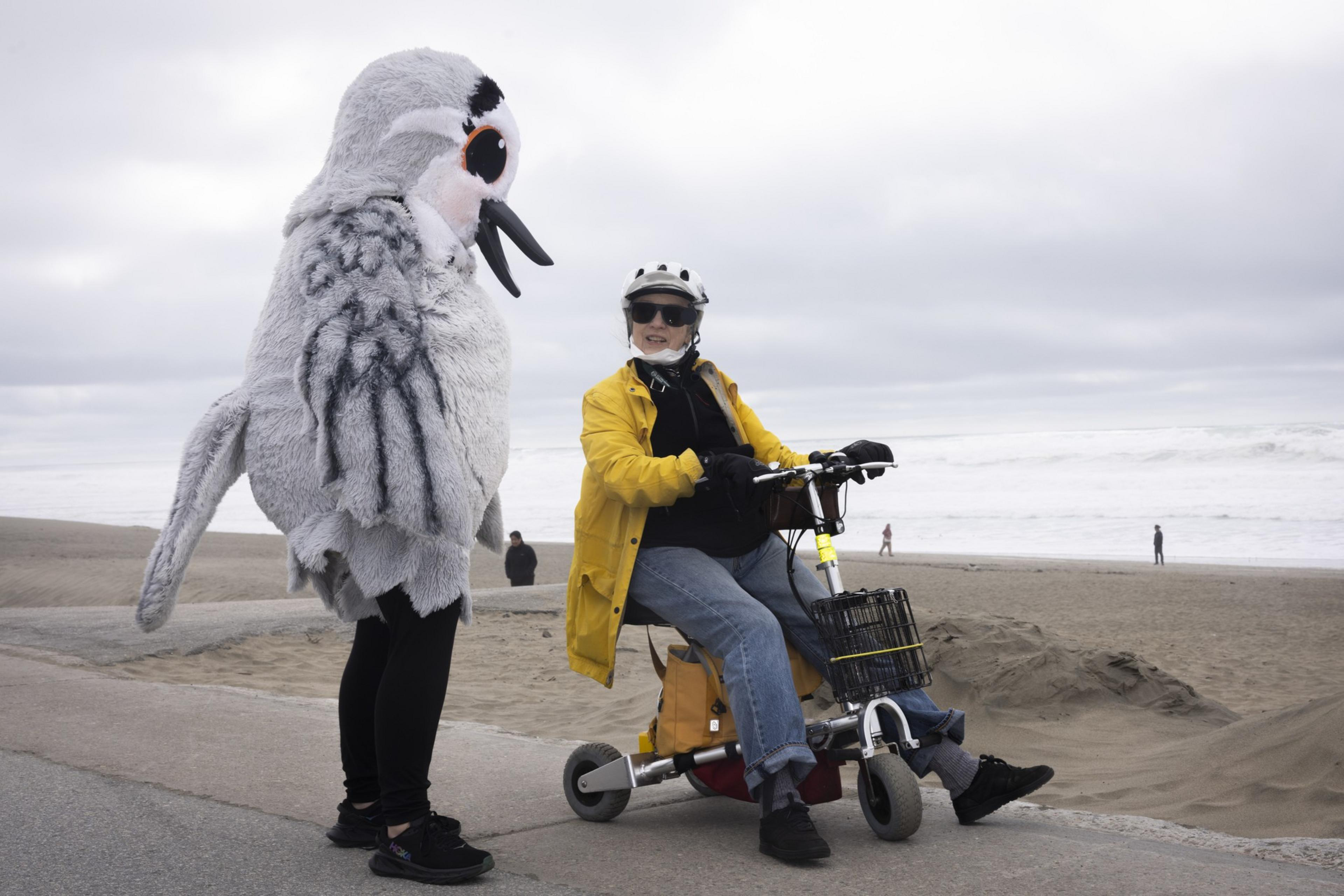 A person in a fluffy bird costume stands next to an individual in a yellow jacket riding a mobility scooter by the beach on a cloudy day.