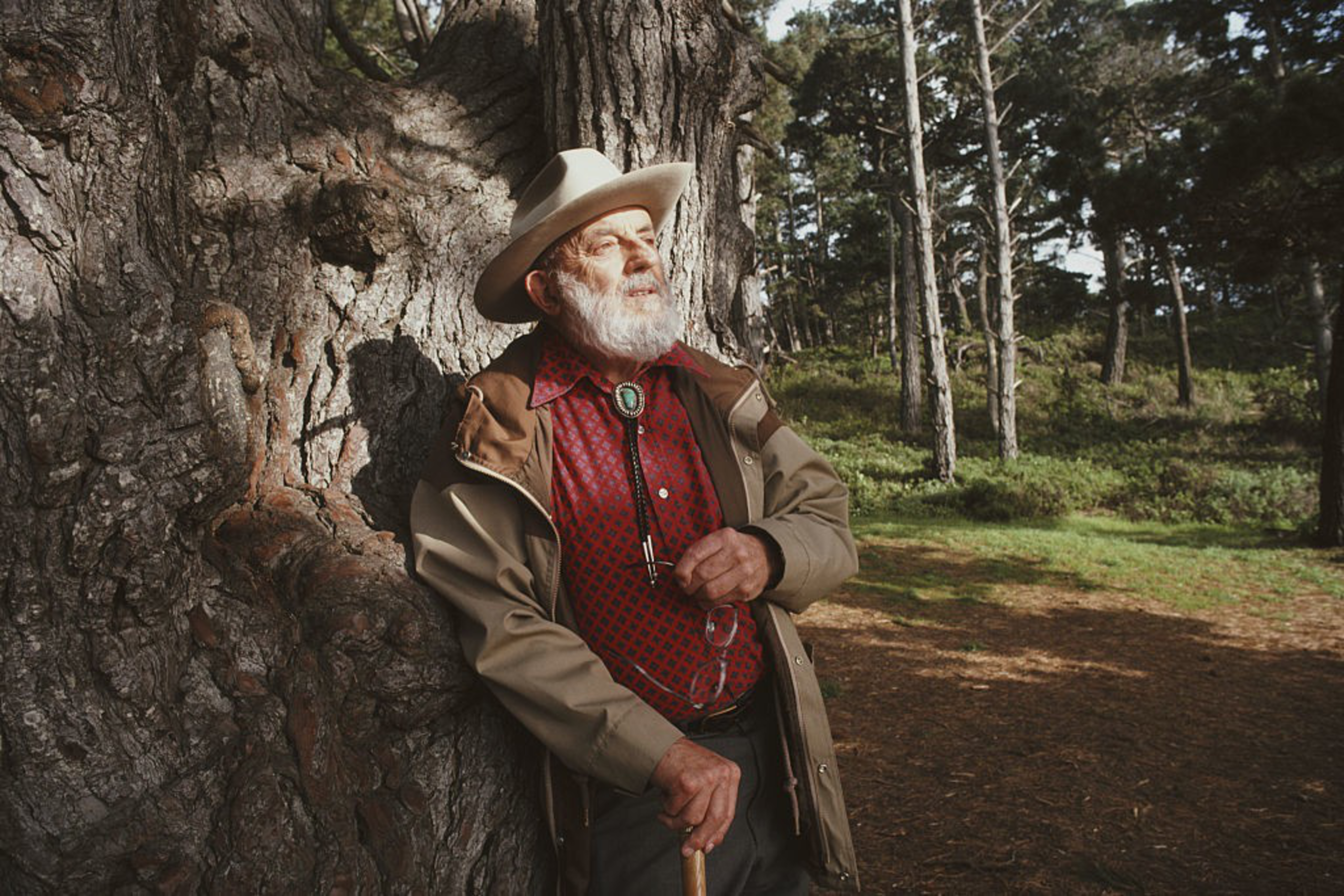 An elderly man with a white beard and hat leans against a large tree, holding a cane and glasses, surrounded by a sunlit forest.