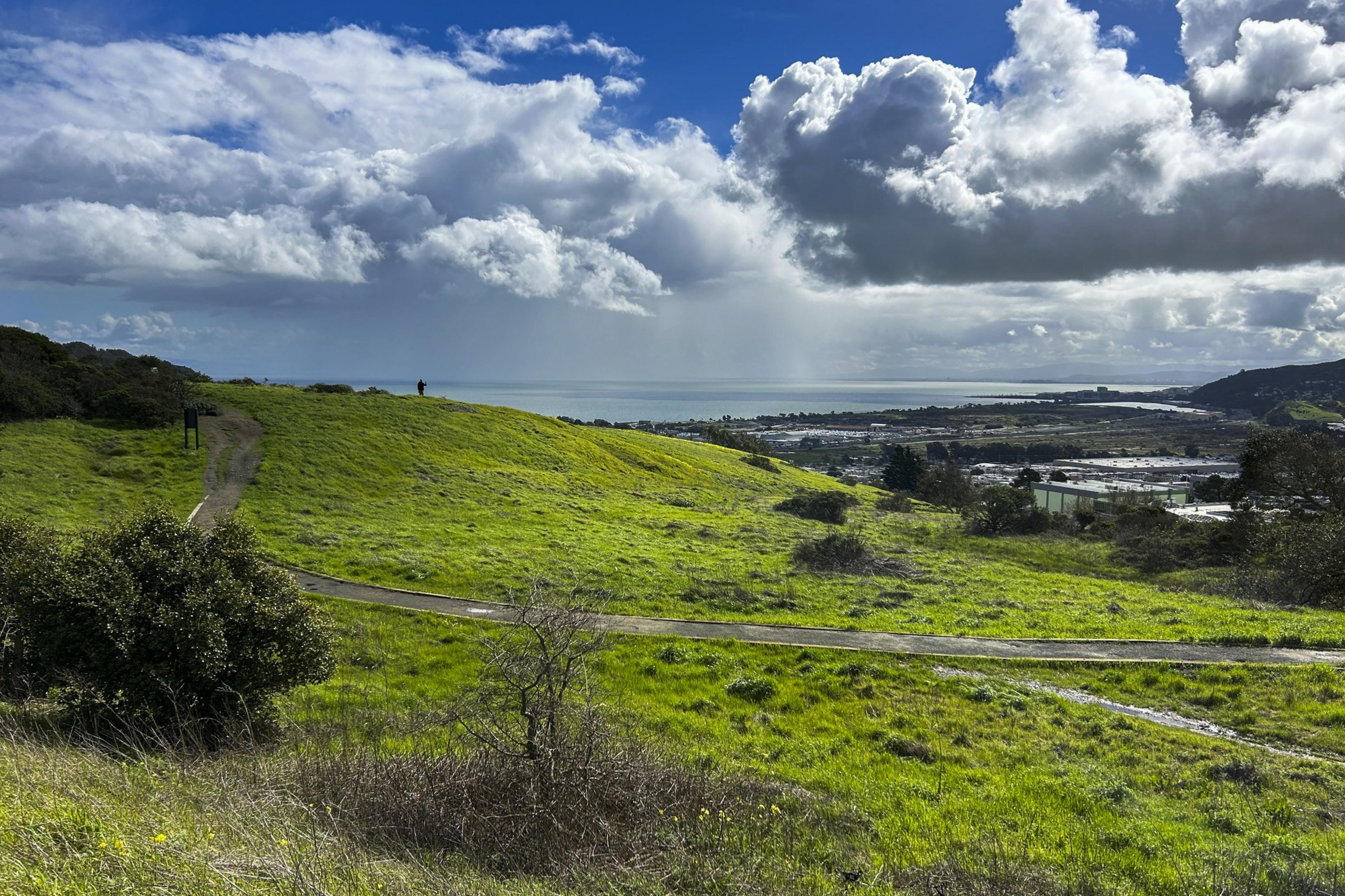 a green hillside with an urban area in the background and a sky with many cumulous clouds