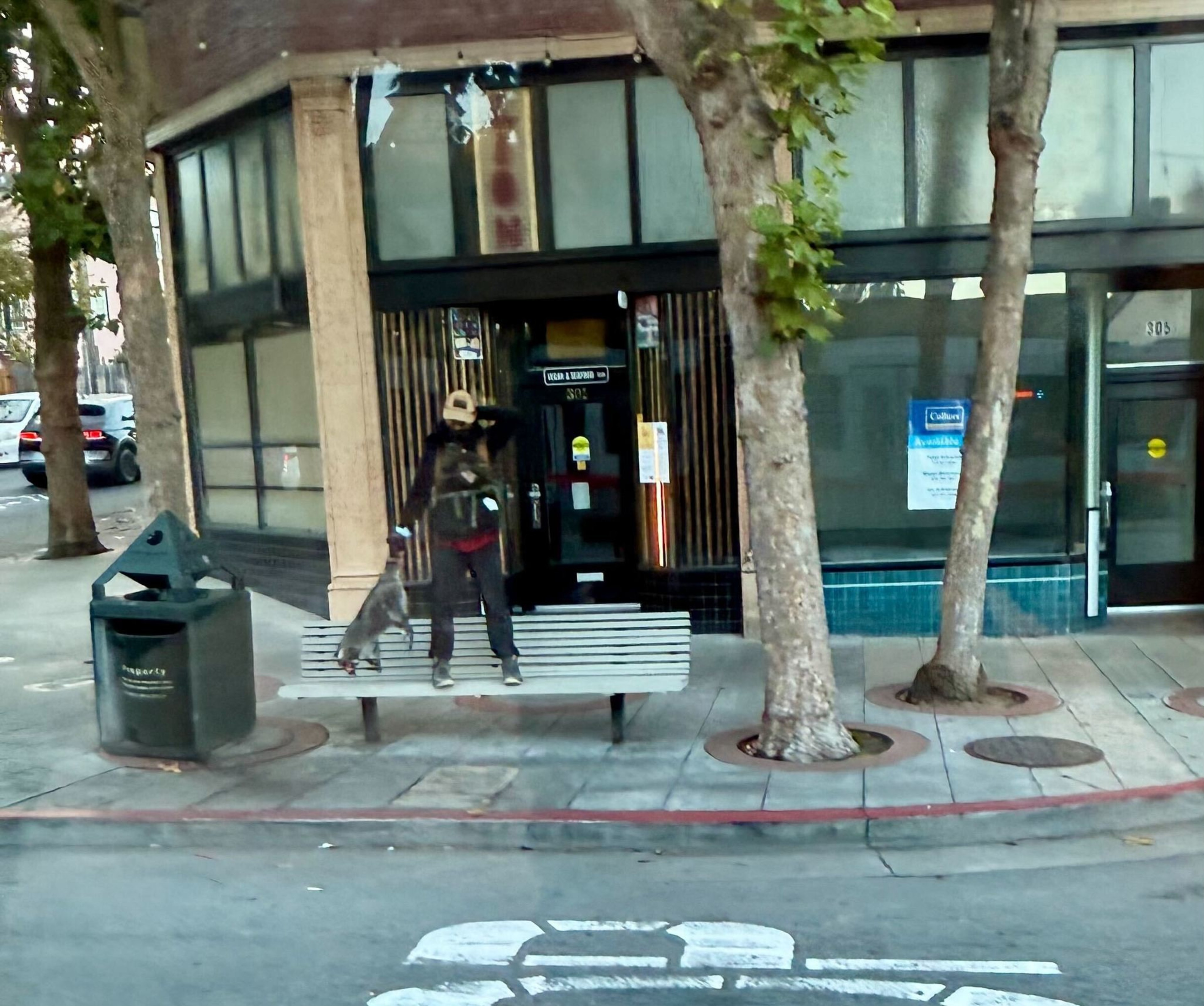 A person in a cap is standing by a bench with a dog on a leash. The scene is set in front of a store with large windows, trees, and a trash can nearby.