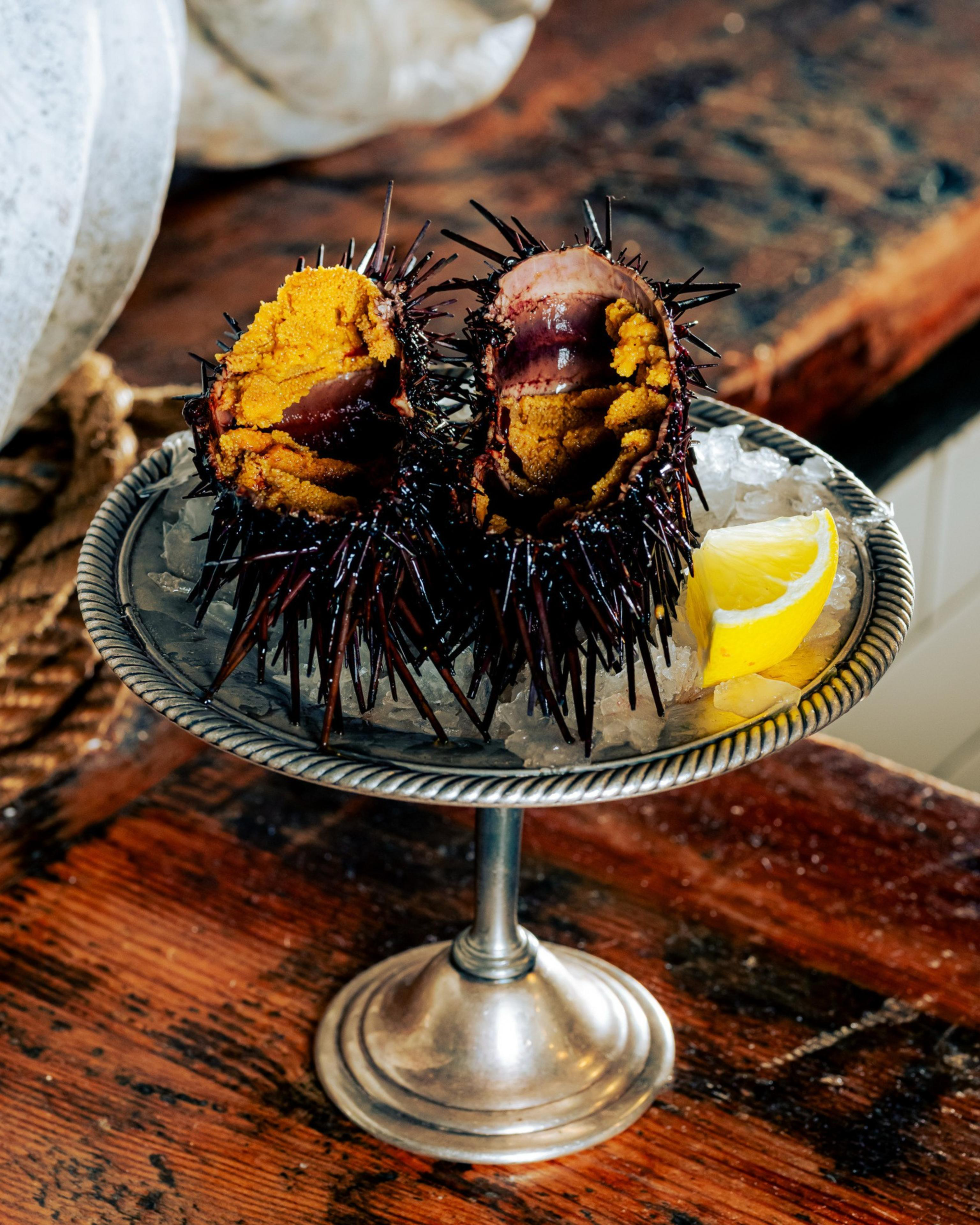 Two open sea urchins with spiky shells and orange roe are placed on a bed of ice on a metal stand. A lemon wedge is beside them for garnish.