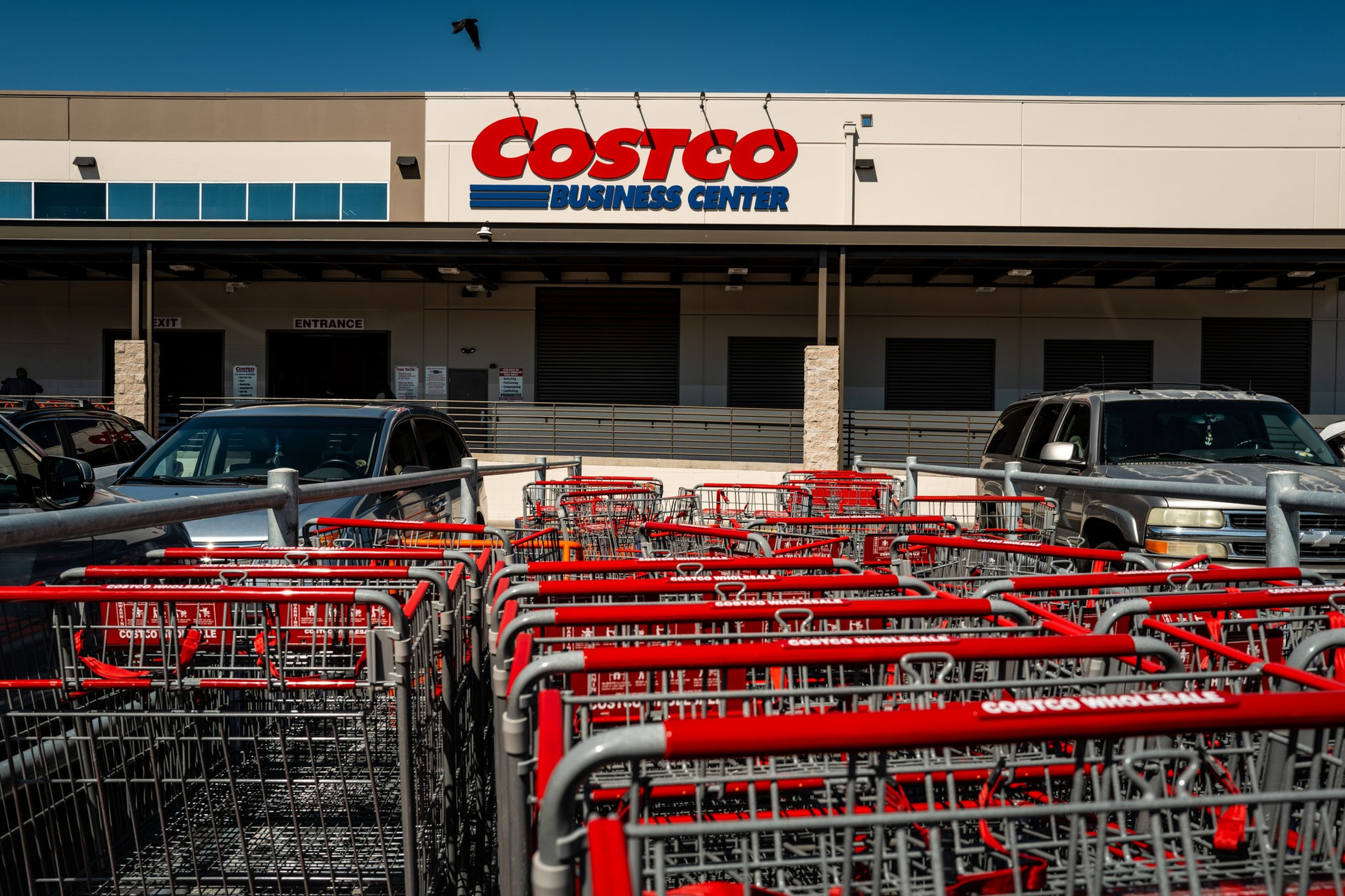 Rows of red-handled Costco shopping carts are parked outside a Costco Business Center under a clear blue sky.