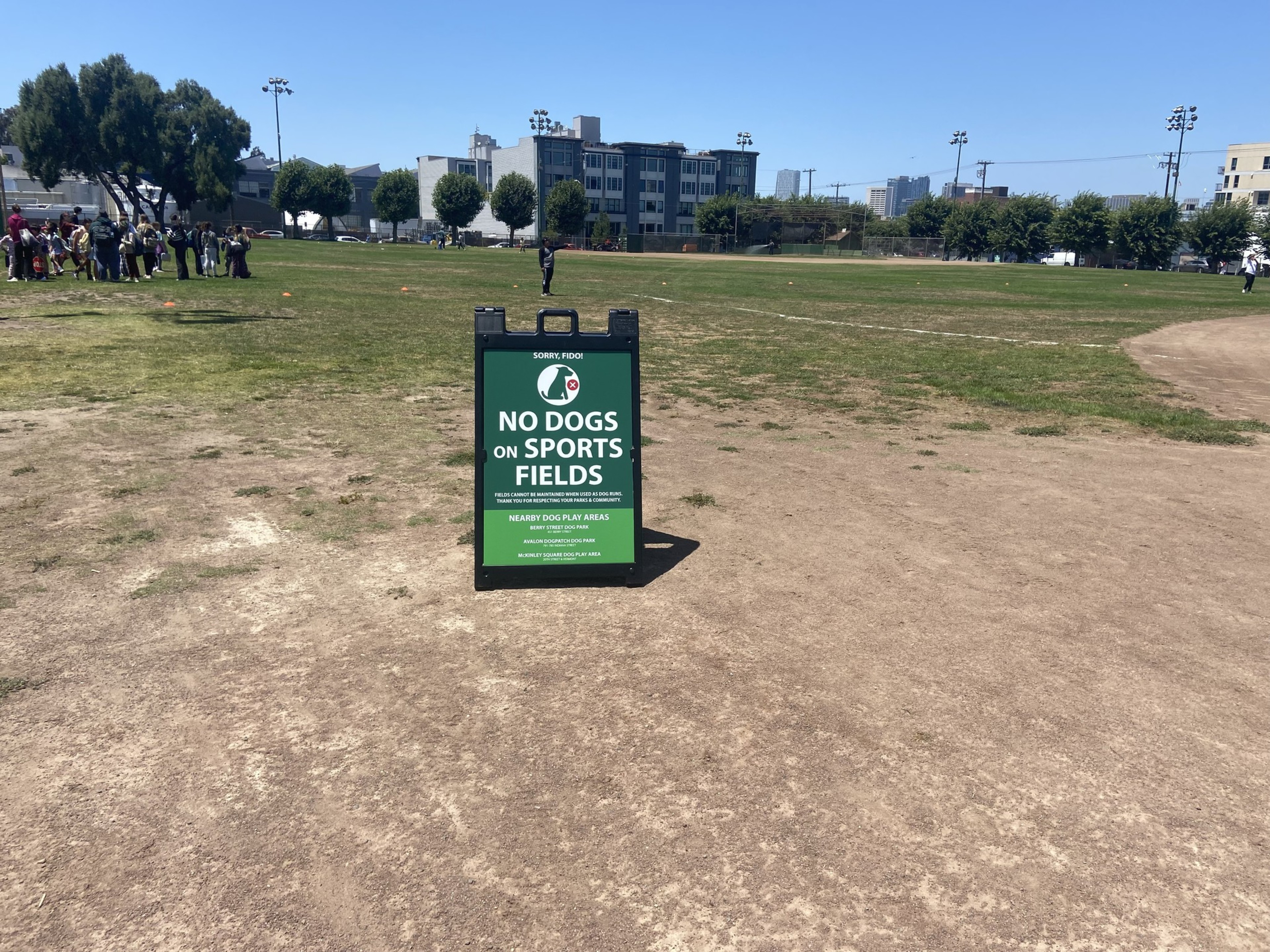 A green sign on a sports field says &quot;No Dogs on Sports Fields.&quot; People stand near orange cones in the background, with buildings and trees around the field.