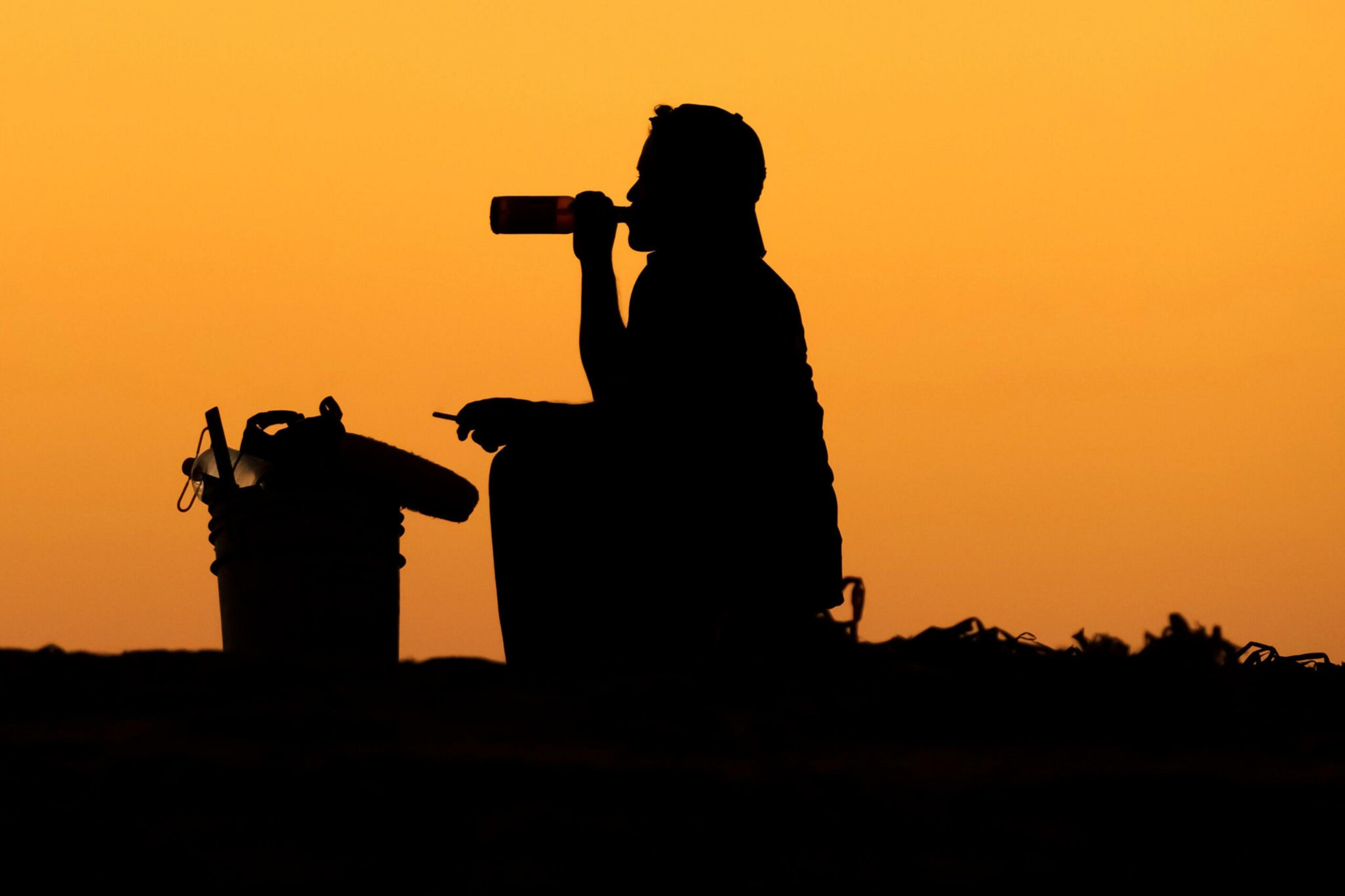 A person sits silhouetted against an orange sky, drinking from a bottle with a bucket of tools nearby, holding something small in their other hand.