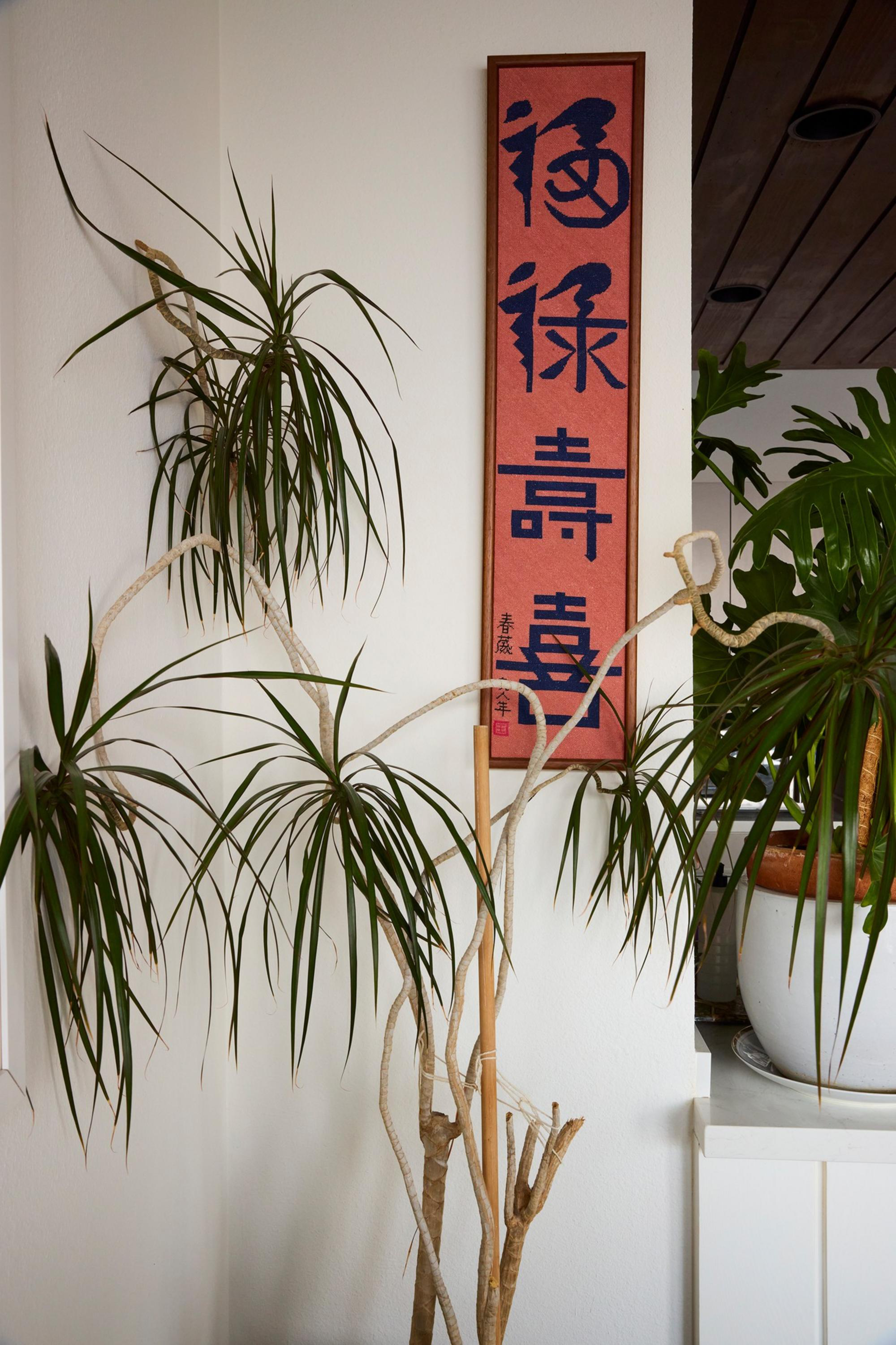 A tall, slender potted plant with long, thin green leaves leans beside a red vertical scroll with black Asian characters on a white wall.
