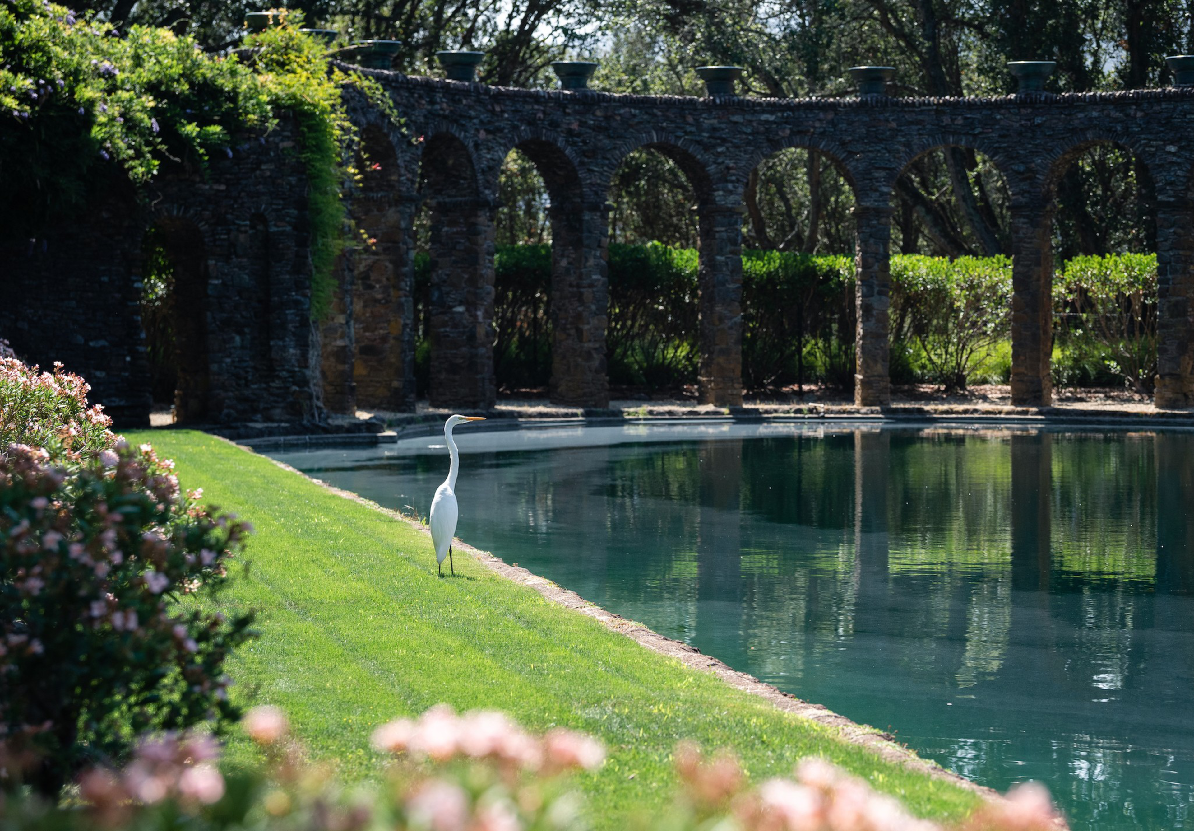A white heron stands on green grass beside a calm pool, with stone arches and lush trees in the background.