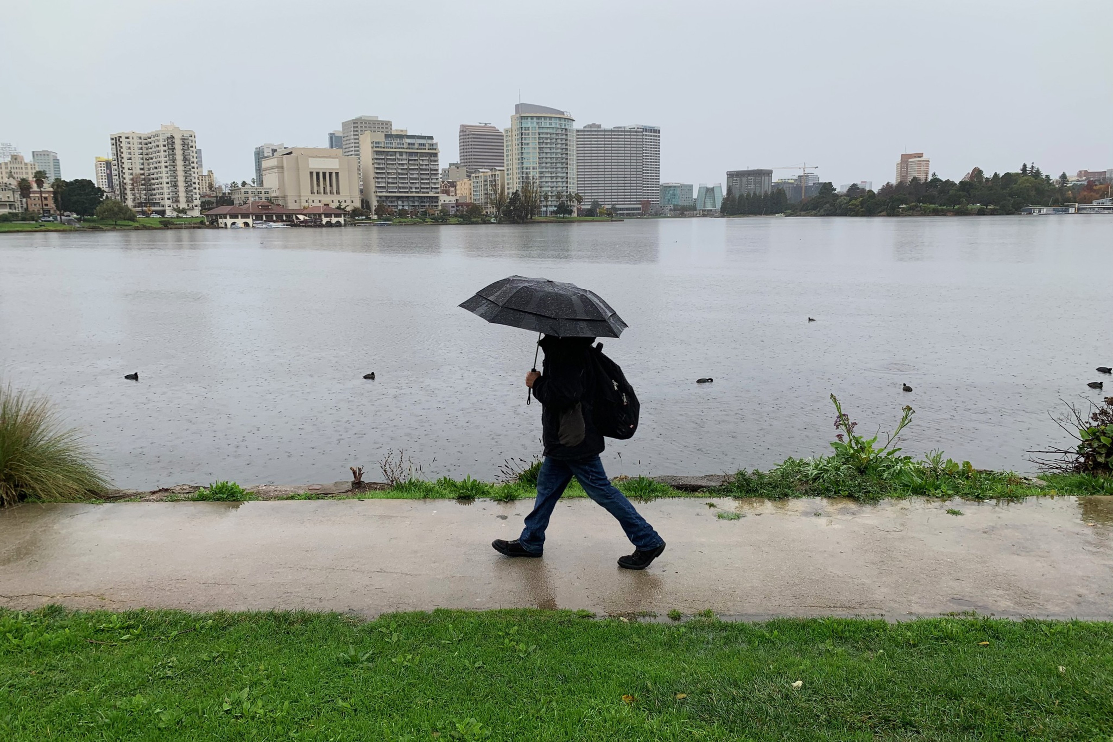 A person holding an umbrella walks around Lake Merritt.