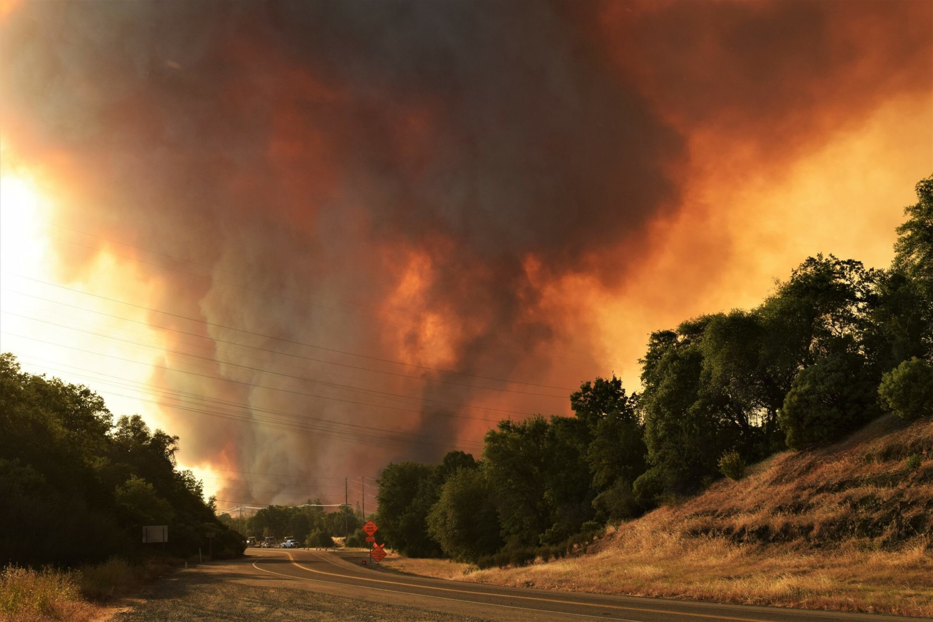 Thick smoke billows into the sky over a winding road lined with trees, illuminated by orange light from a nearby wildfire.