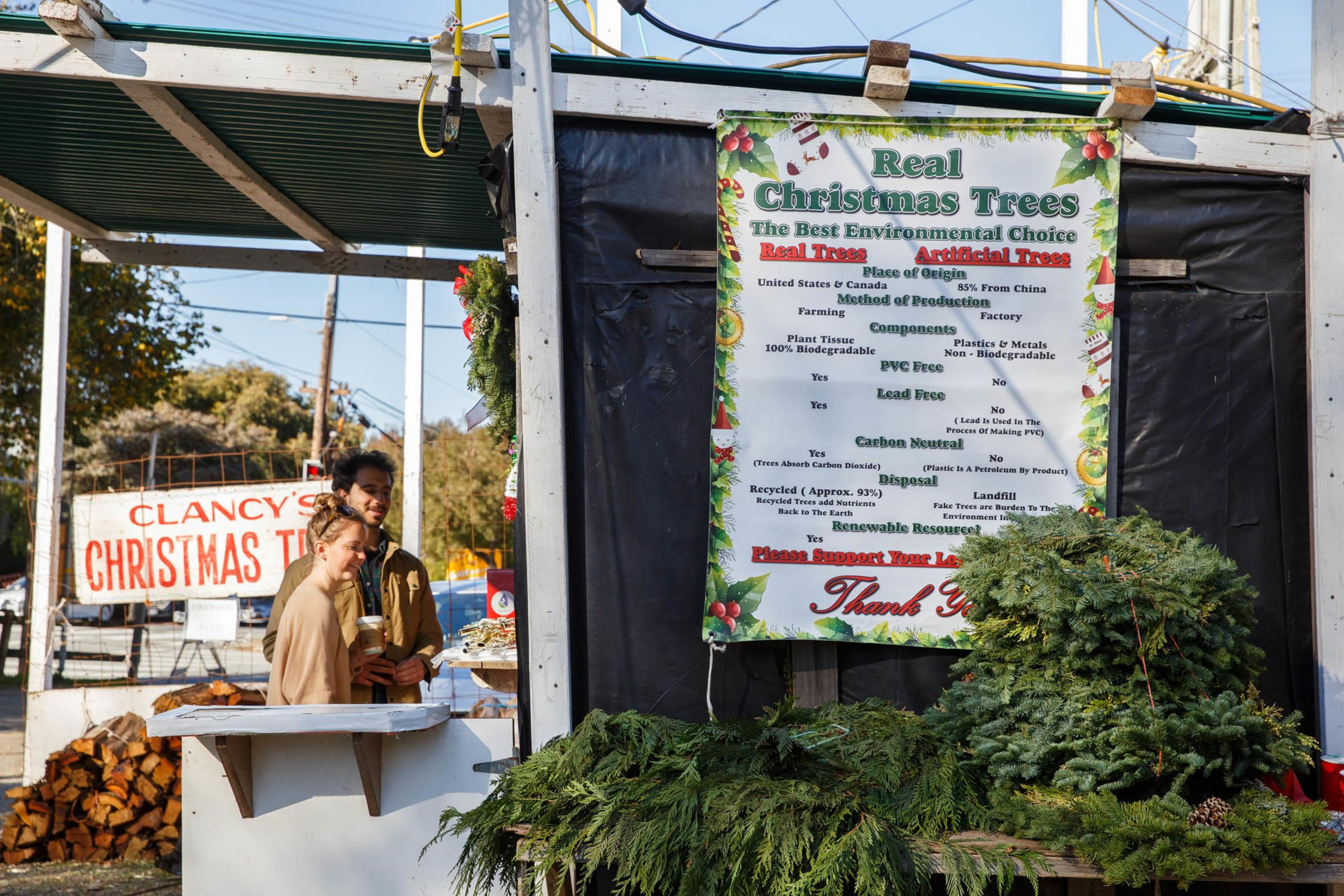 A sign advertising Christmas trees hangs in a tree lot.