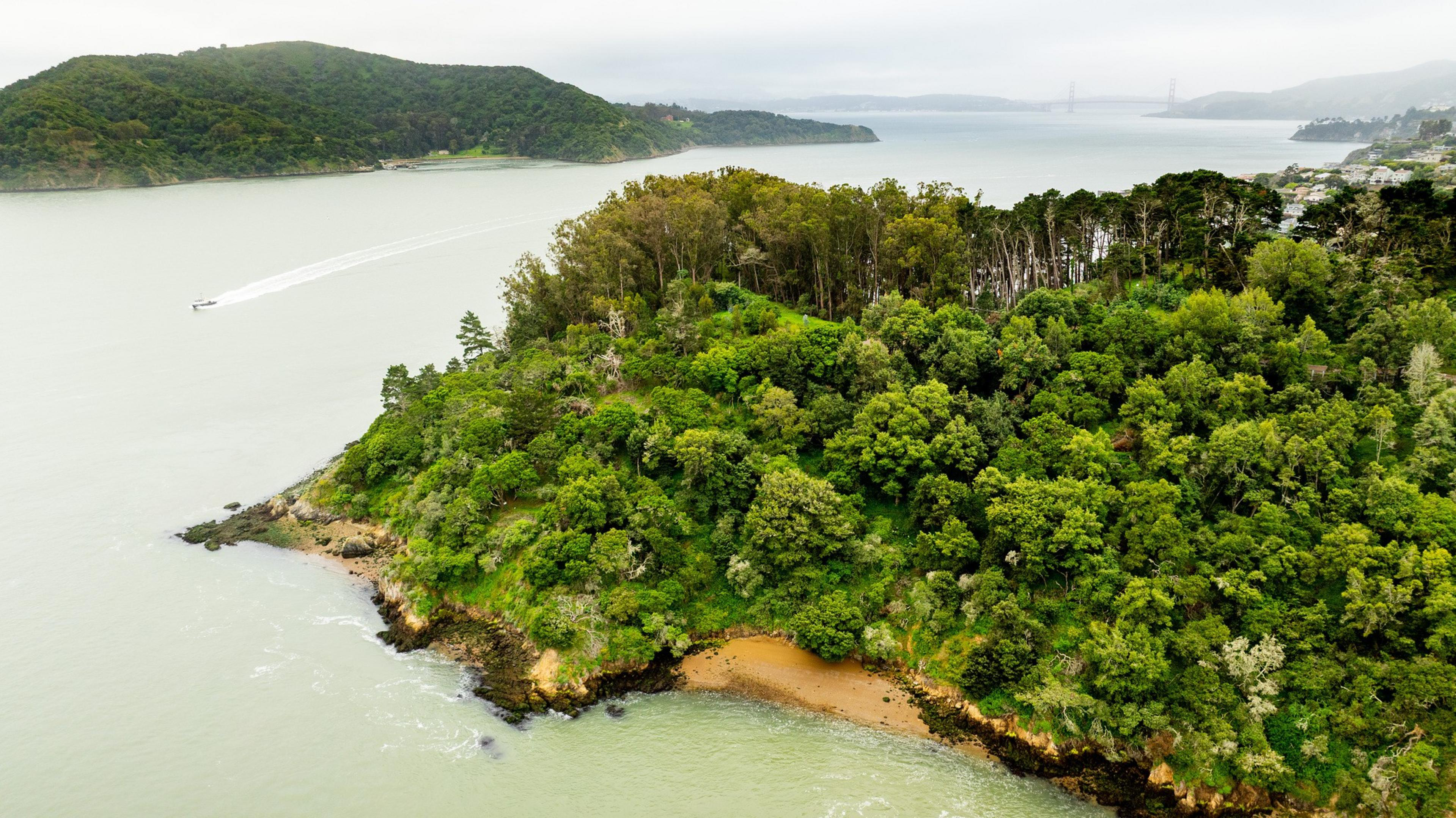 A lush, green island with dense trees is surrounded by light-blue water. A small beach is visible, and a boat leaves a wake. Distant hills and a bridge are in the background.