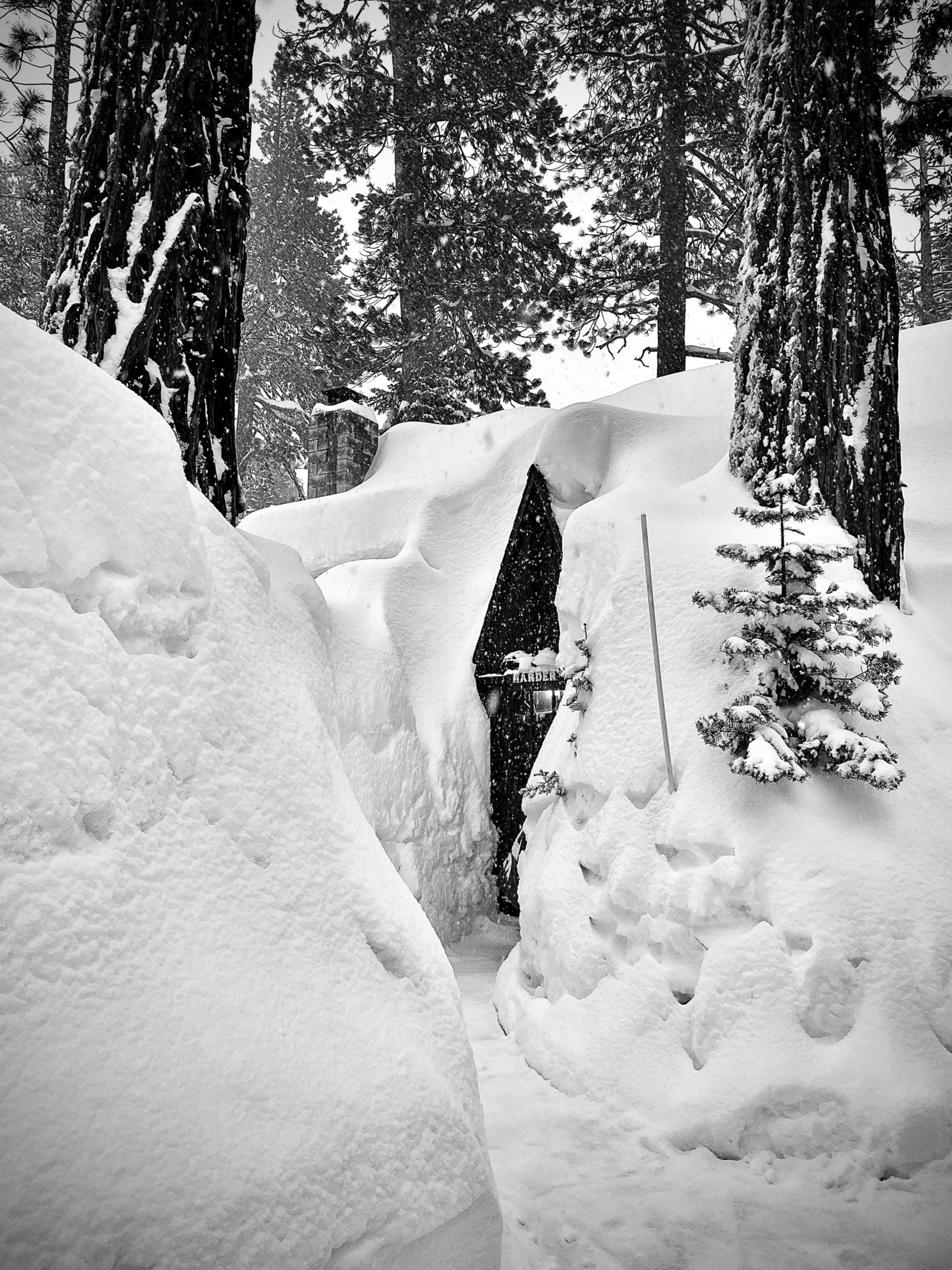 A narrow path carved through deep snow leads to a triangular wooden door surrounded by tall snow-covered trees.