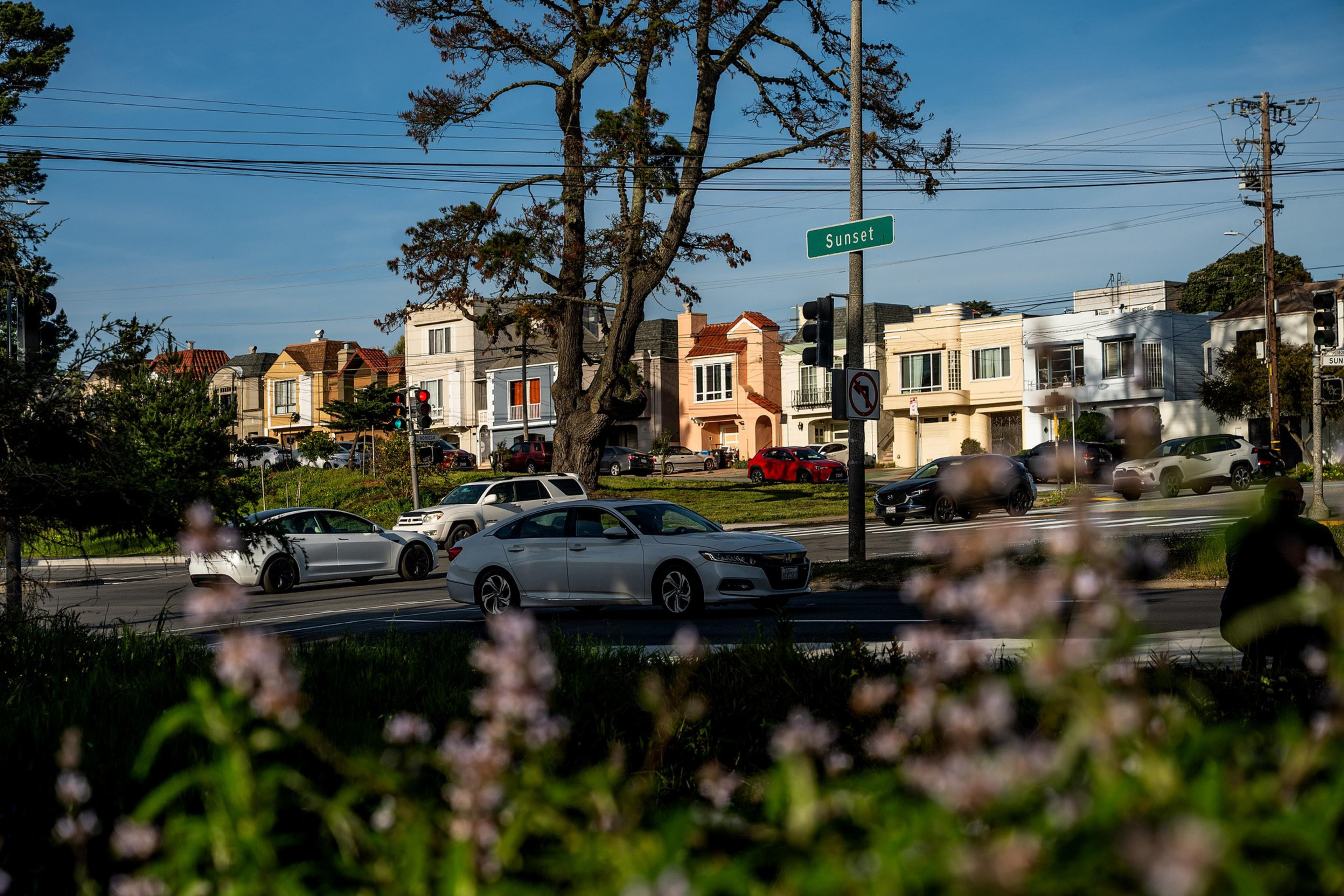 Cars drive past colorful houses along a tree-lined street, with a &quot;Sunset&quot; sign and traffic lights visible. Blurred flowers appear in the foreground.