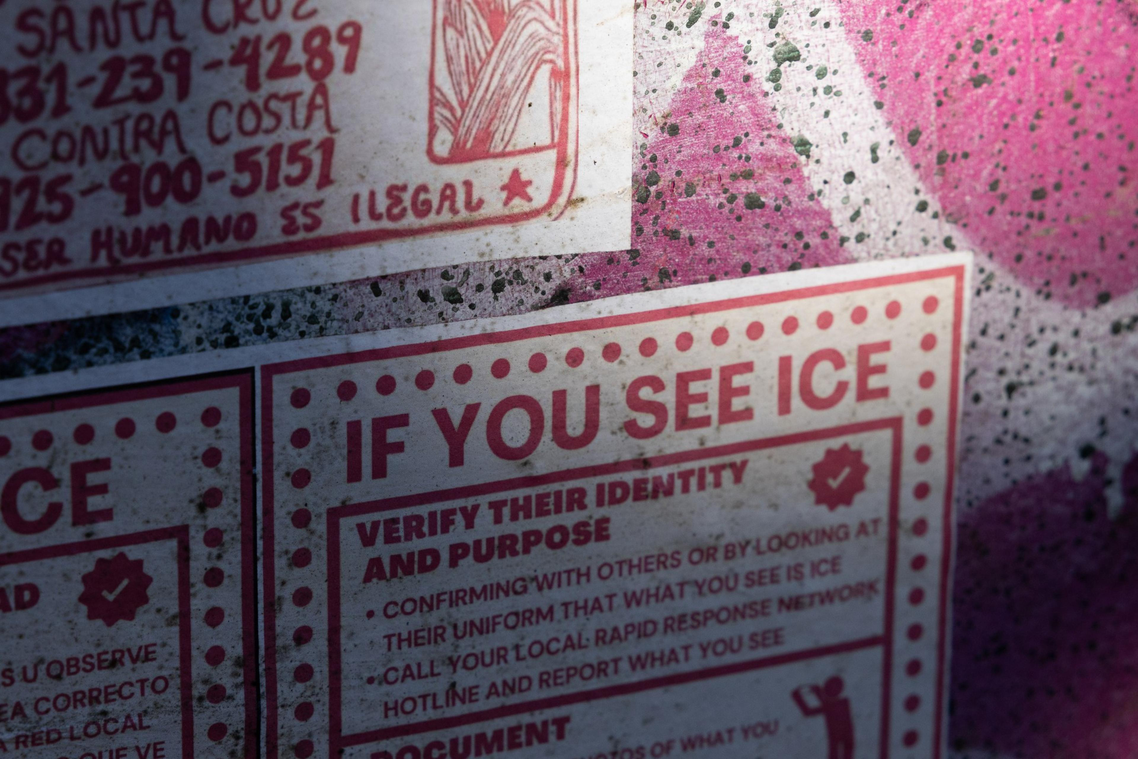 The image shows a poster with text urging people to verify identity and purpose if they see ICE, with contact numbers and instructions. The background is pink graffiti.