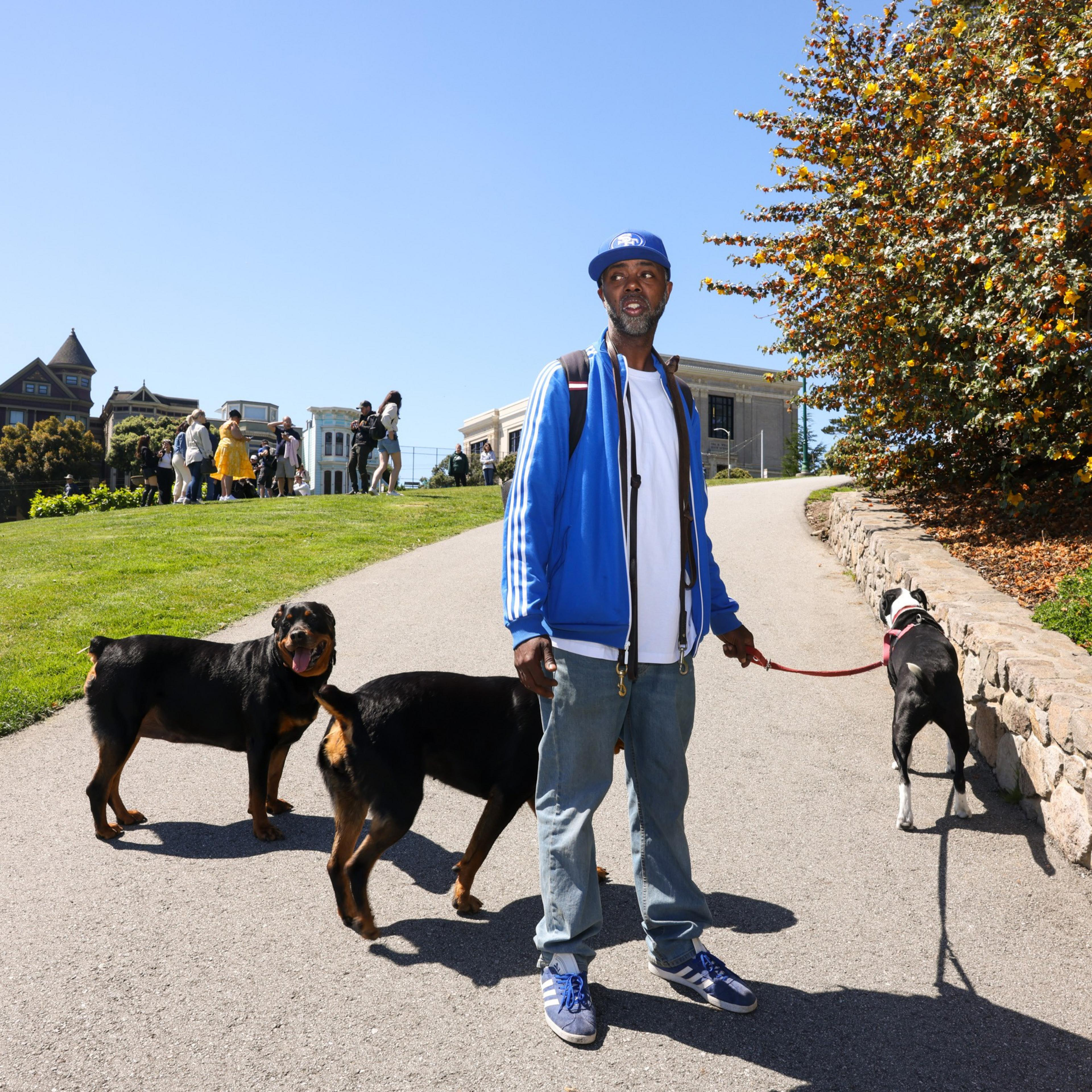 A man in a blue jacket and cap walks two dogs on a sunny park path. People stand on a grassy hill, and trees with autumn leaves line the walkway.