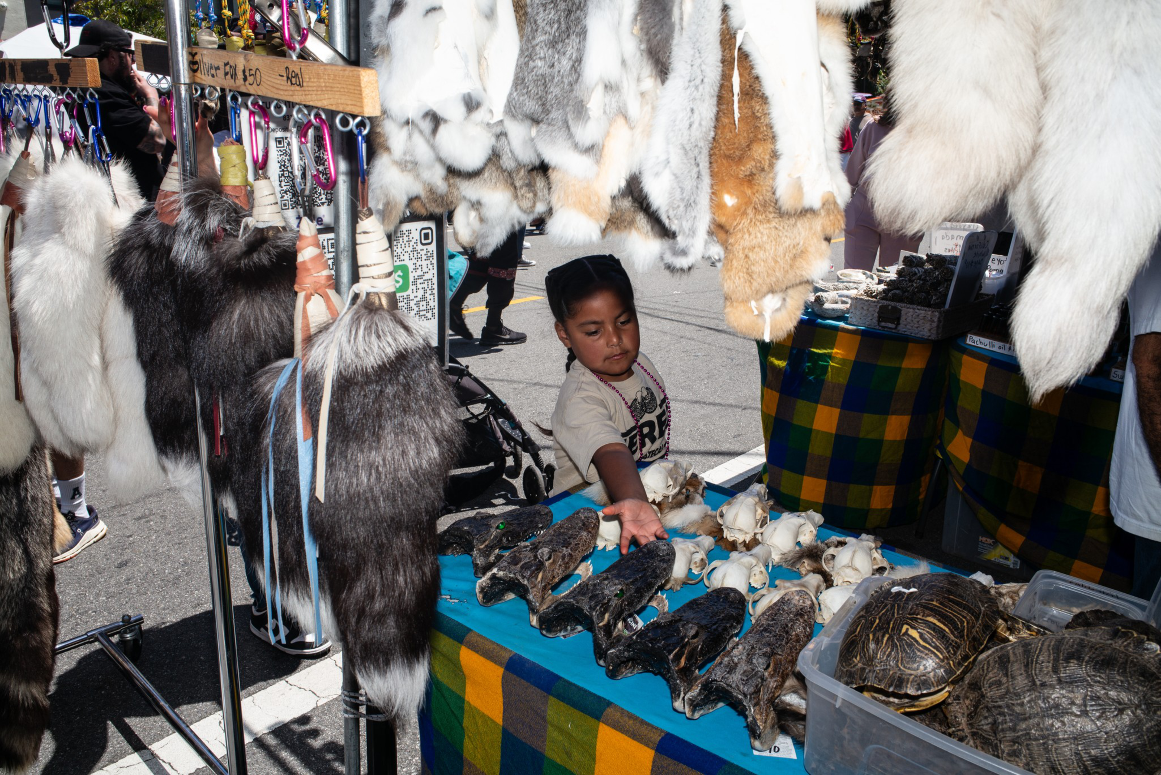 A child reaches toward a table covered with animal skulls, pelts hanging above, and turtle shells displayed on a checkered cloth at an outdoor market stall.
