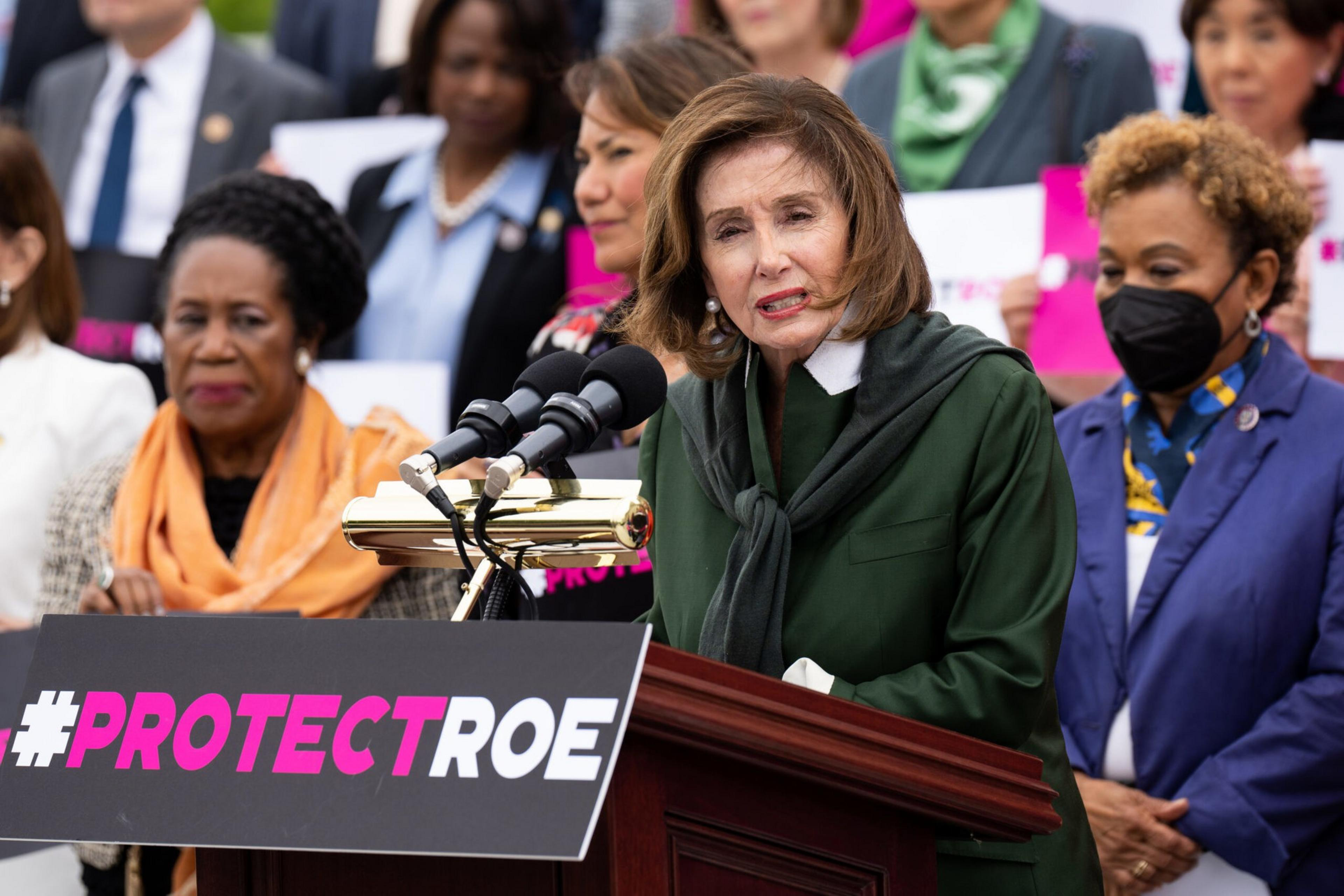A woman in a green outfit speaks at a podium with "#PROTECTROE" sign, surrounded by people, one wearing a mask and another draped in an orange scarf.
