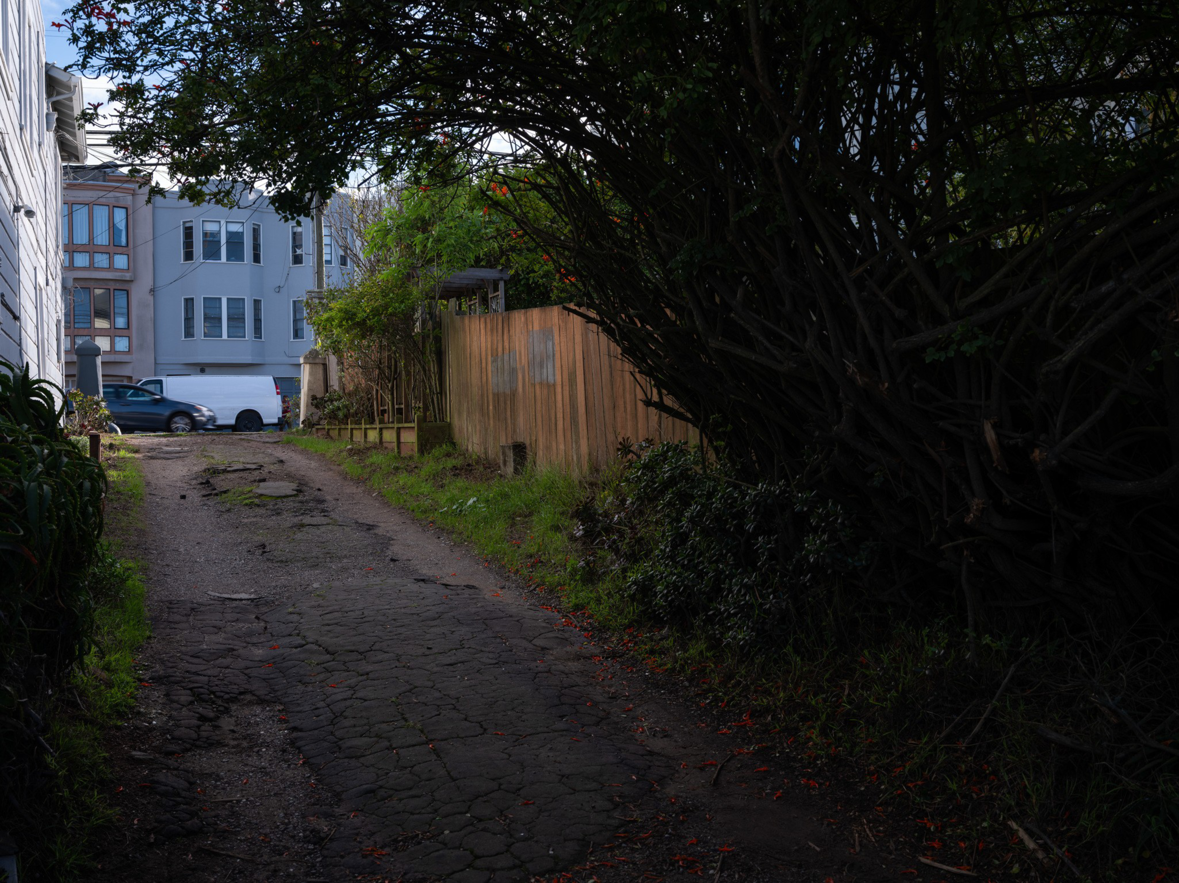 A cracked narrow driveway runs between a wooden fence and dense bushes, leading to white and beige residential buildings with parked cars.