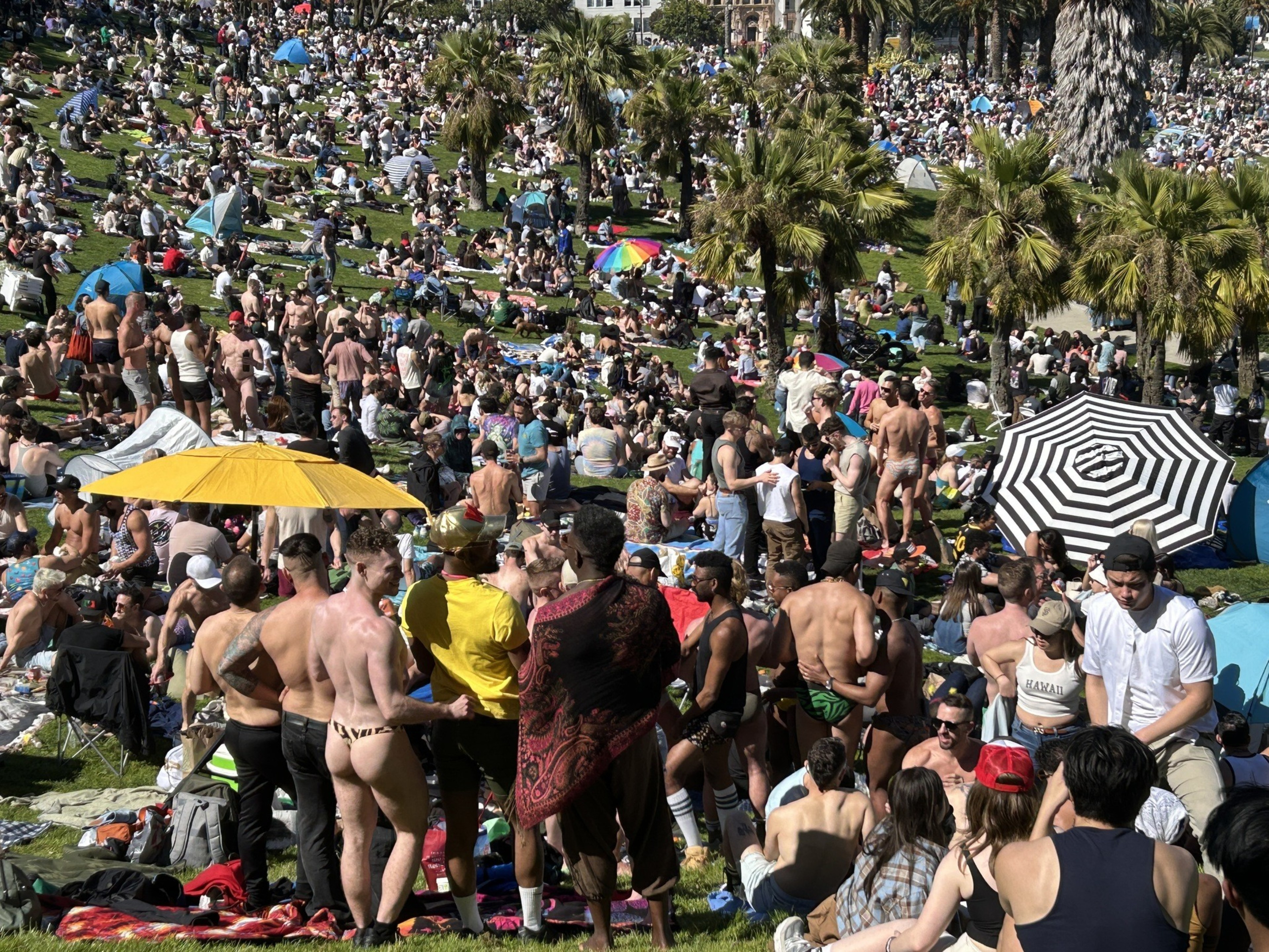 a huge crowd of people in a park