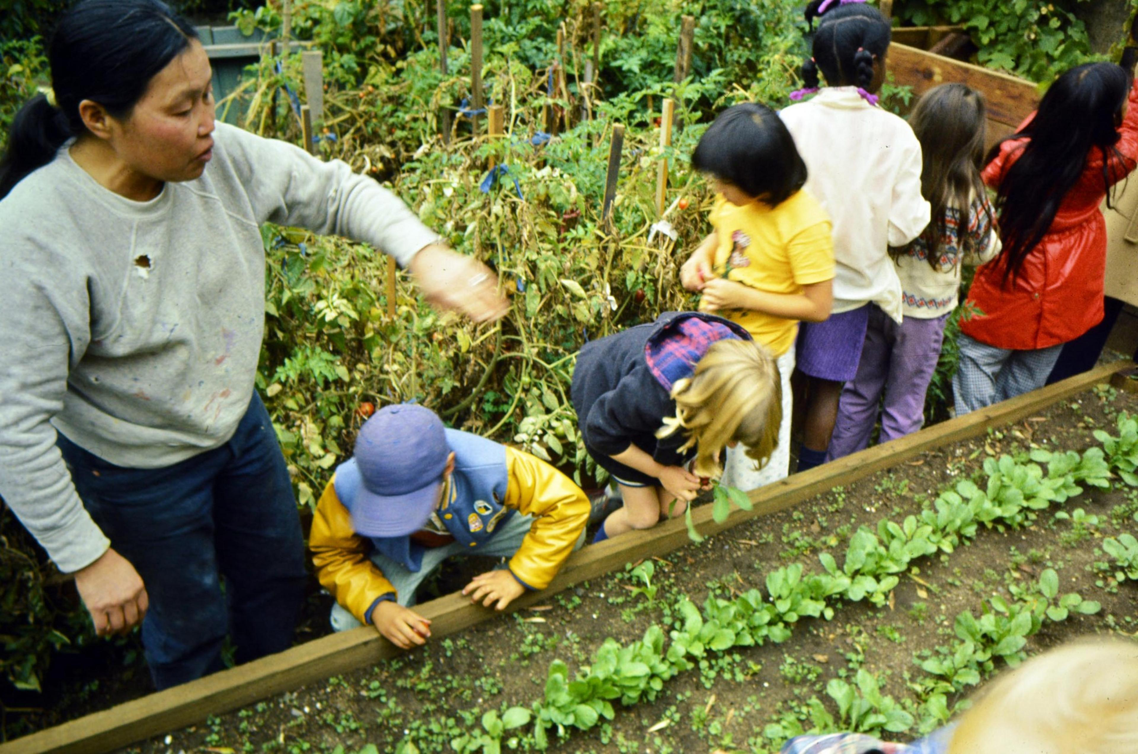 A woman and several children are in a garden, surrounded by plants. The children are engaged, some bending over, possibly planting or inspecting seedlings.