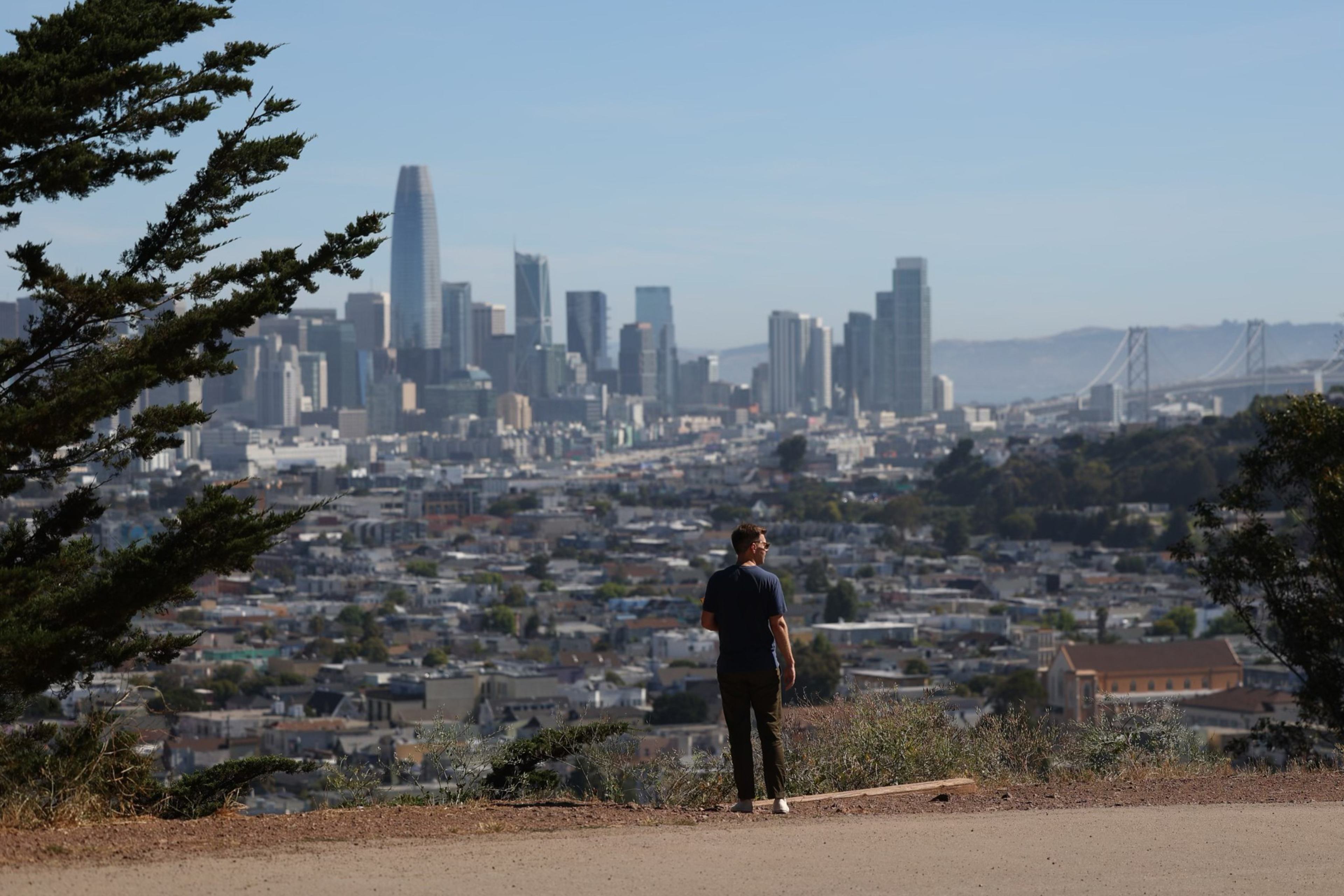 A person stands on a hill overlooking a dense cityscape with tall buildings and a bridge in the background.