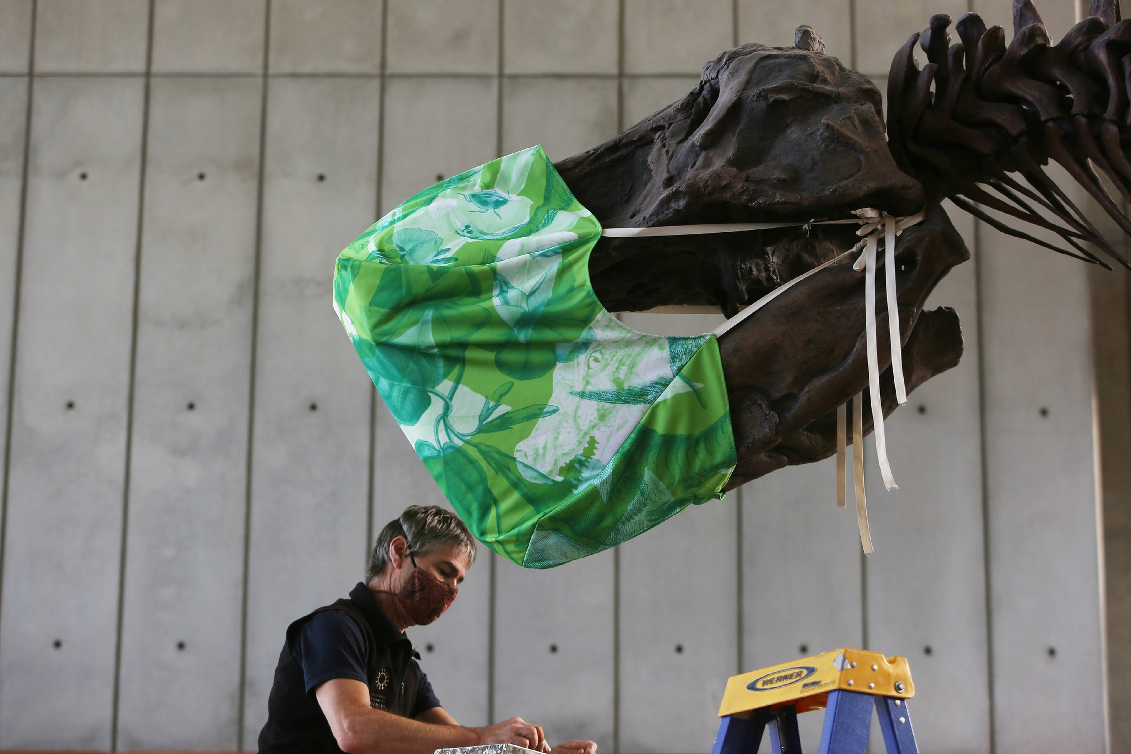 A person wearing a red face mask stands near a dinosaur skull that is fitted with an oversized green cloth mask inside a museum.