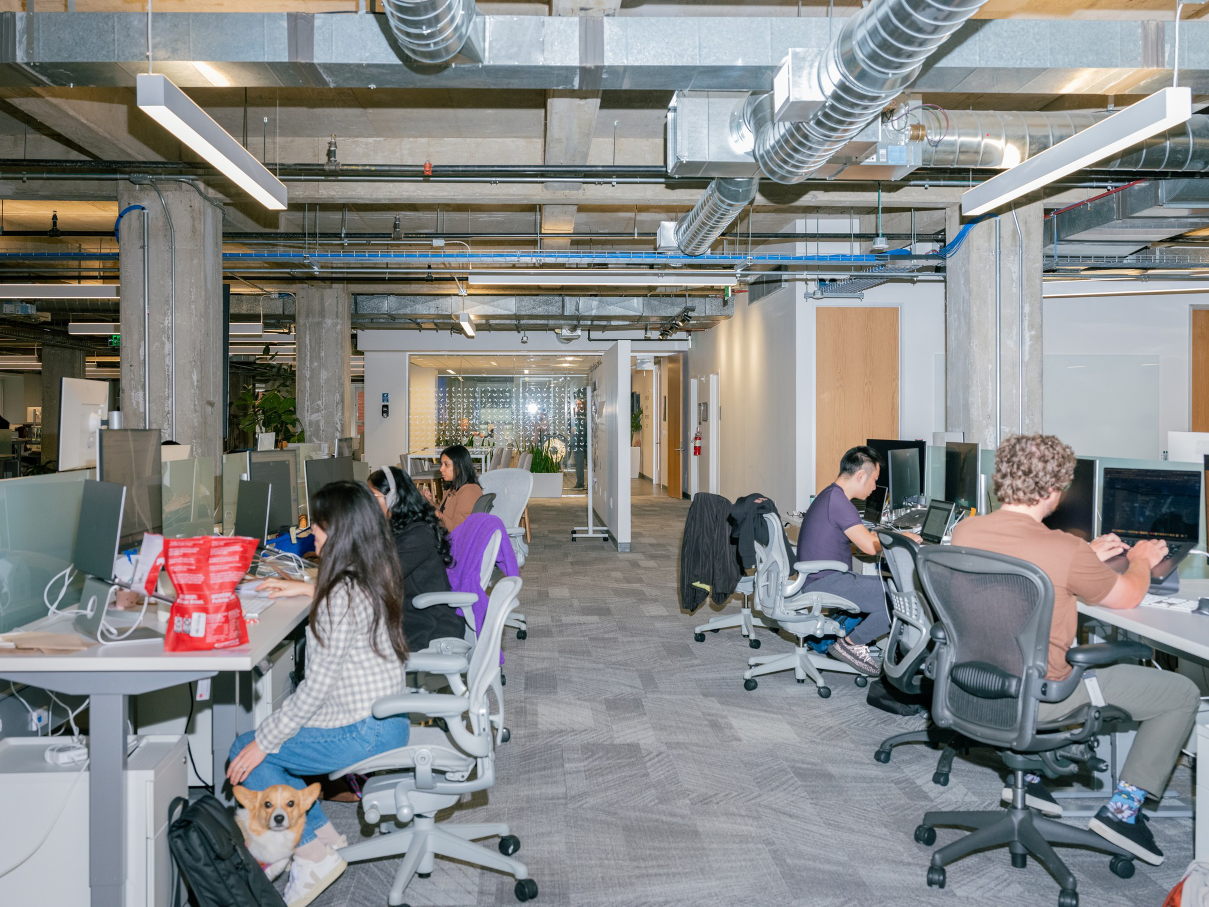 People are working at desks with computers in a modern office. A small dog sits near one person’s feet under the desk.