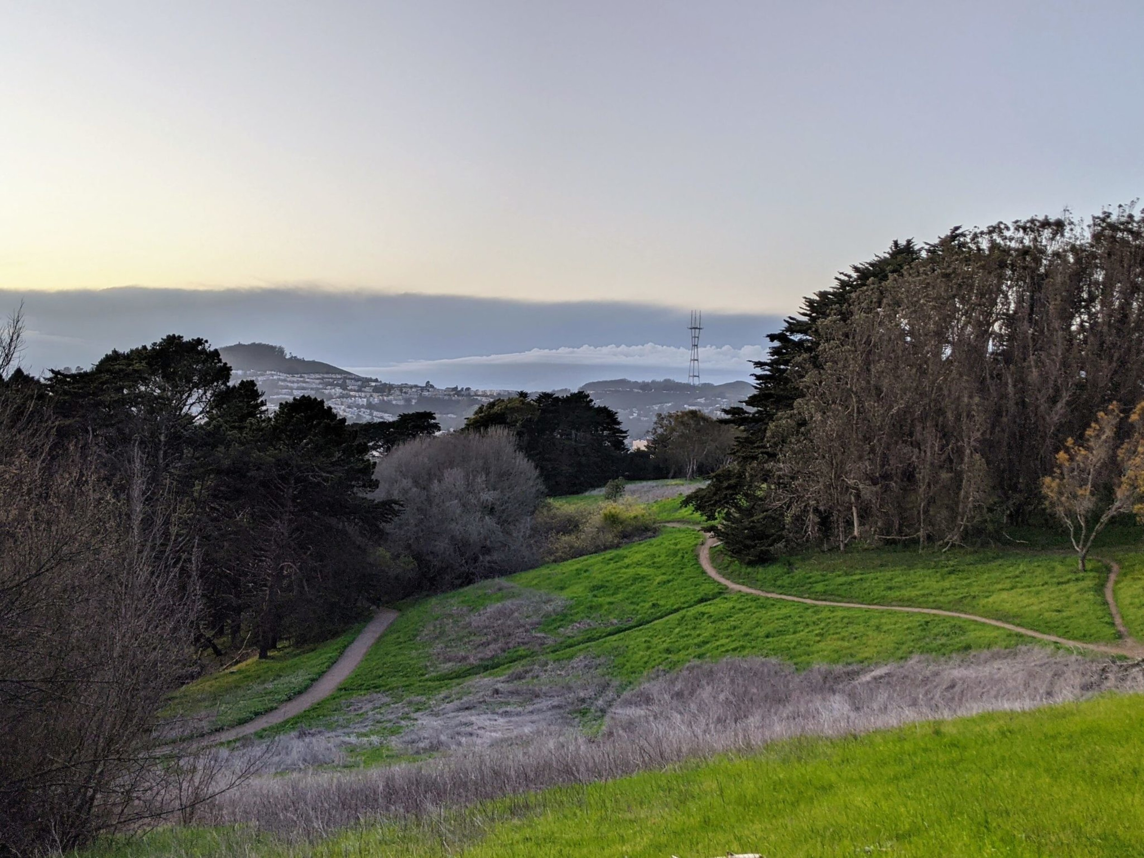 A winding dirt path cuts through green and dry grass with tall trees on either side and hills and a radio tower in the distance under a clear sky.