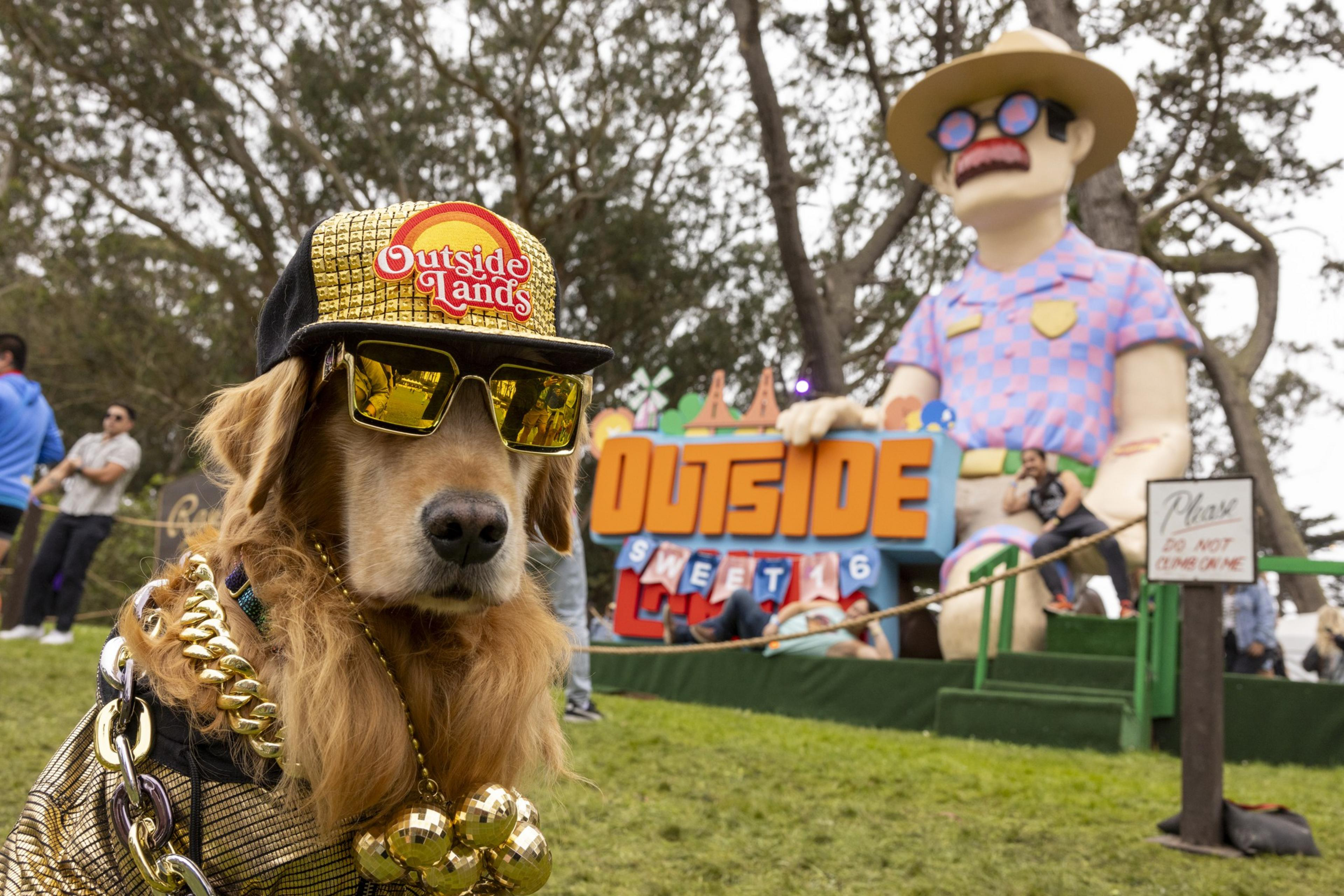 A dog wearing a golden hat, sunglasses, and heavy chains poses in front of an &quot;Outside Lands&quot; sign with a large statue behind it.