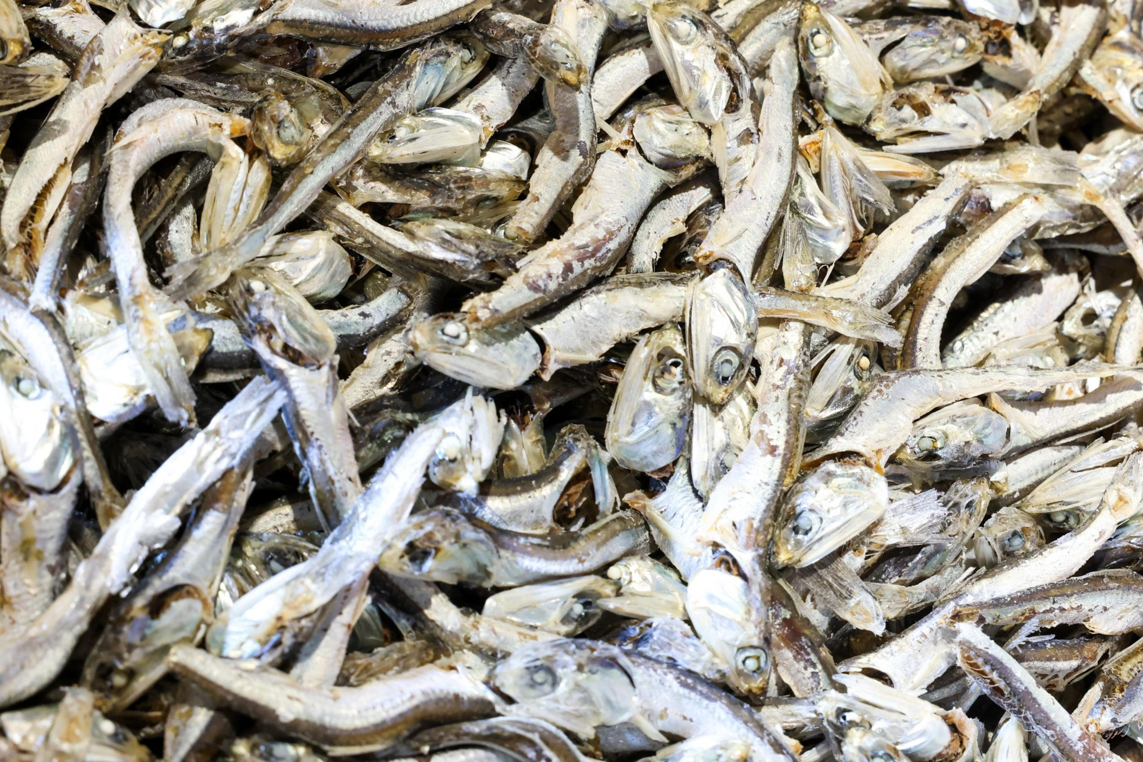 The image shows a large pile of dried fish with shiny, silvery bodies and open mouths, overlapping each other closely.