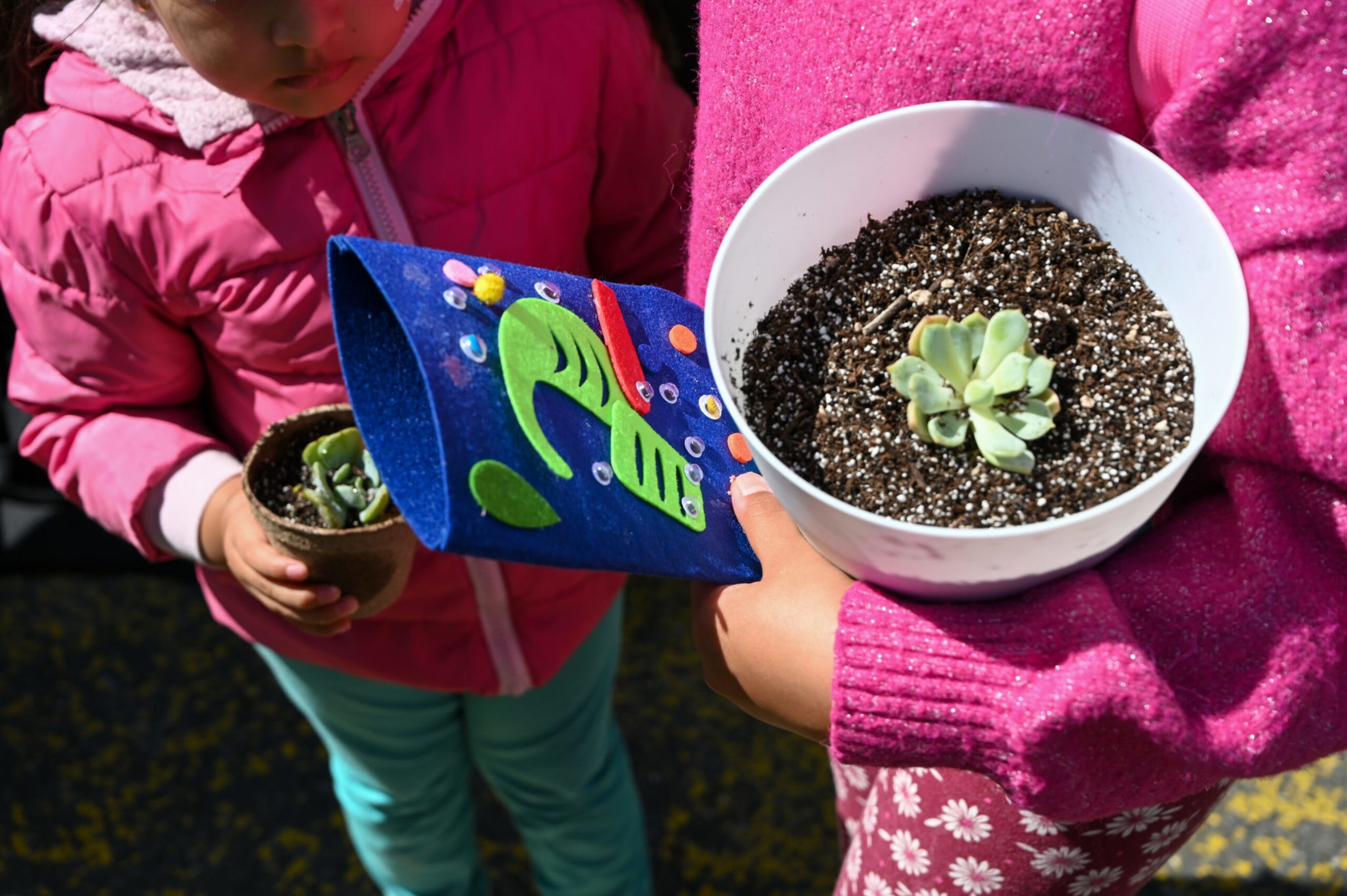 Two children in pink jackets hold succulents in pots.
