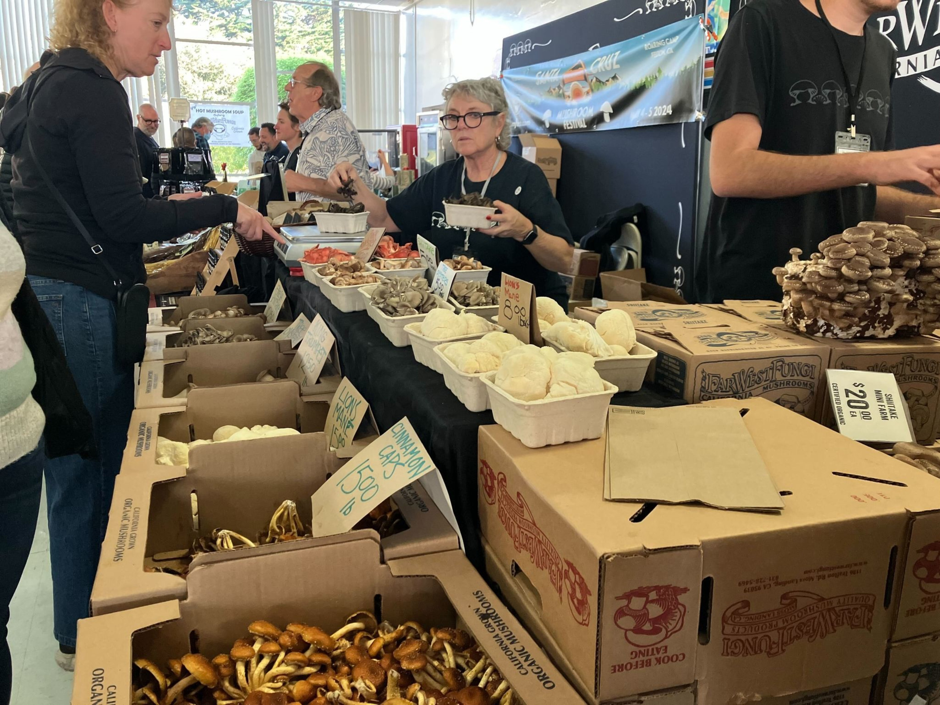 Vendors sell various types of edible mushrooms at the 51st annual Fungus Fair at El Camino High School in South San Francisco on Dec. 16, 2023.