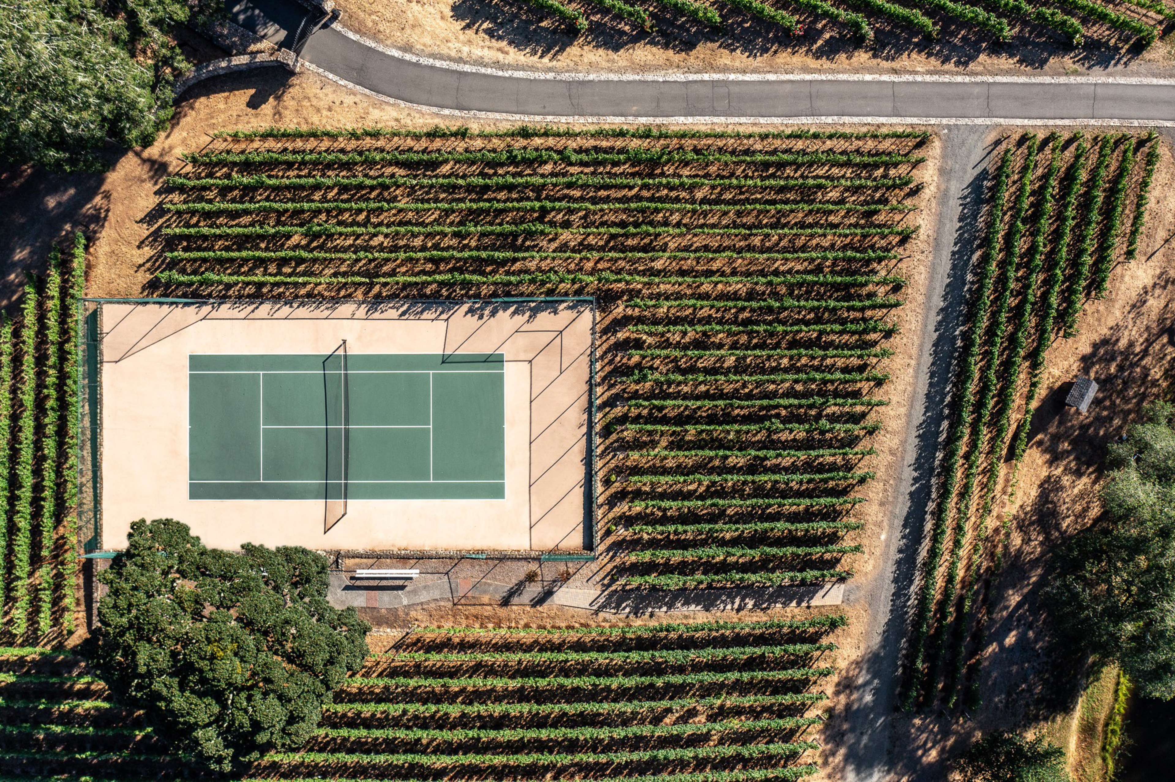A tennis court is surrounded by neatly arranged rows of green crops, with a paved path running along the top and right side of the area.