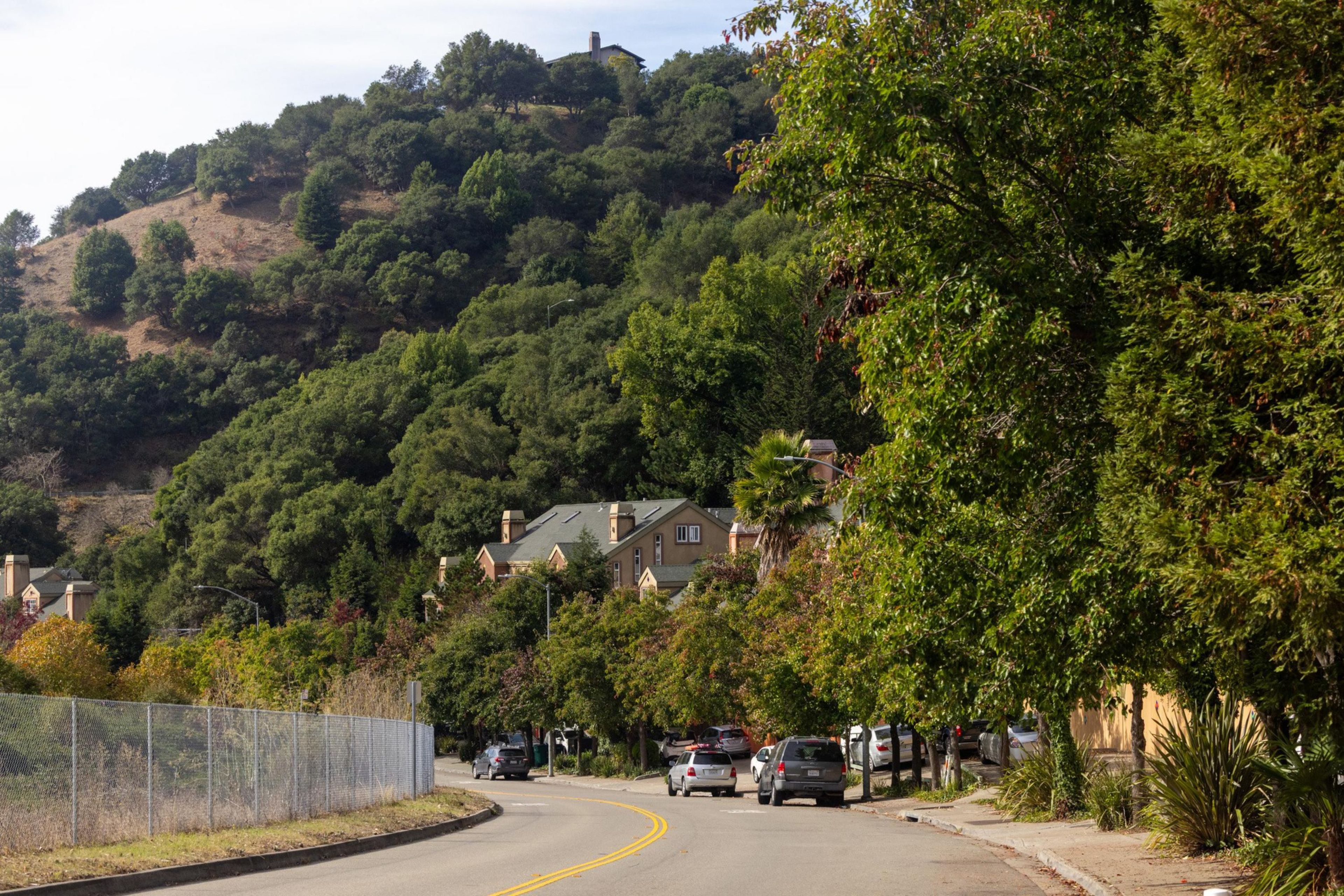 A winding road curves past a chain-link fence on one side and parked cars with leafy trees and houses nestled at the base of a green, forested hillside.