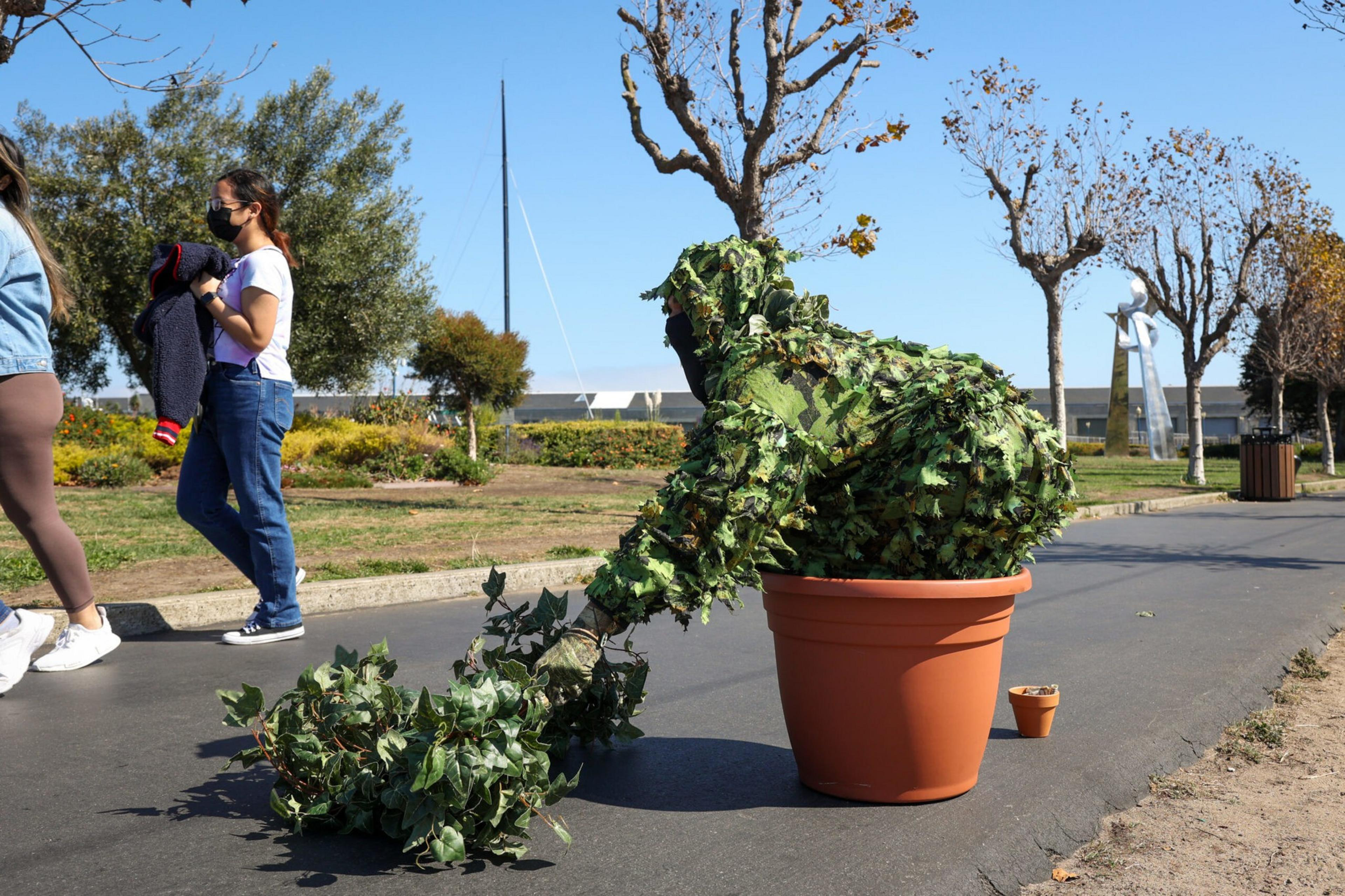 A person dressed in a leafy green costume appears to emerge from a large terracotta plant pot, with foliage extending onto the pavement.
