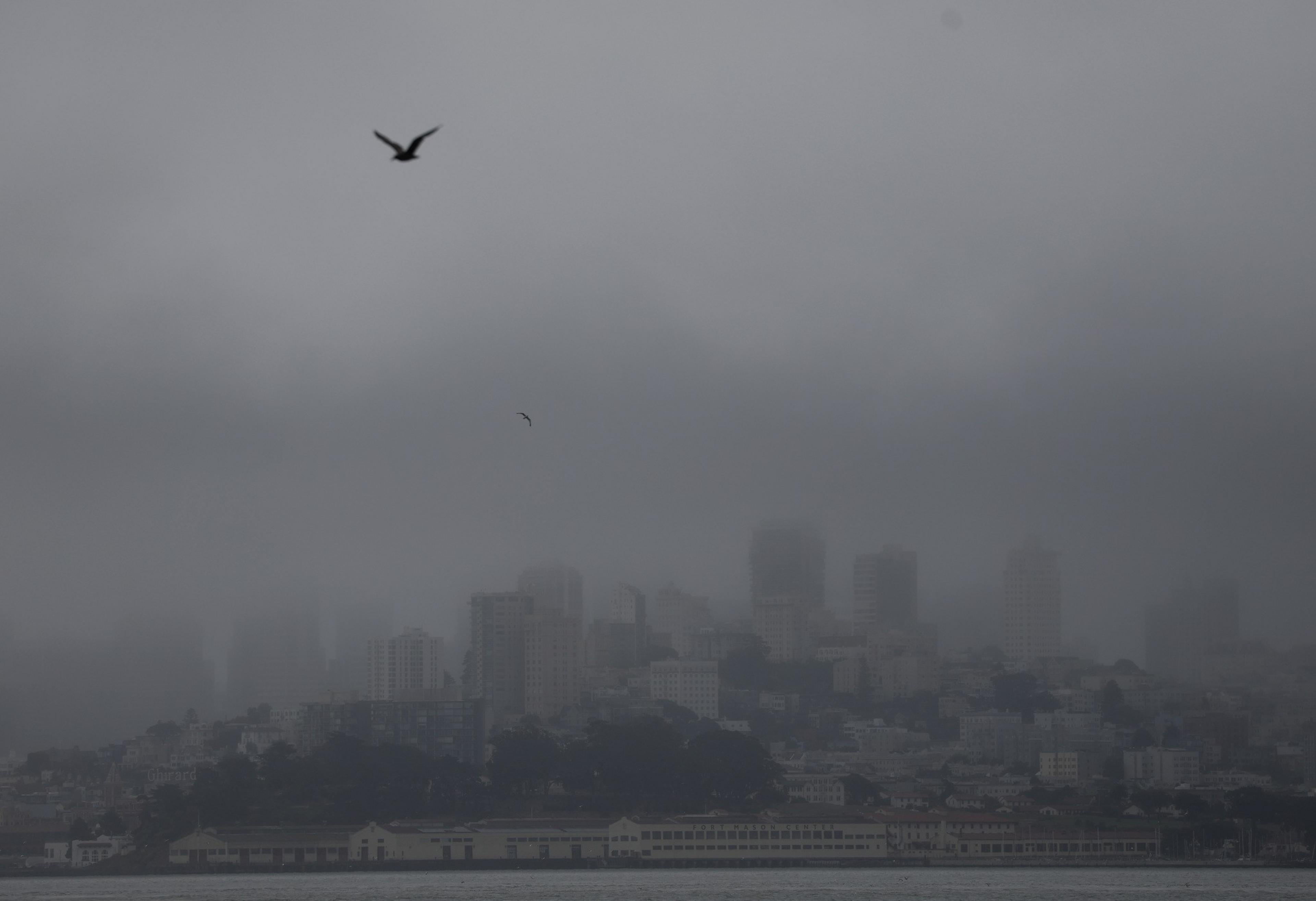 A foggy city skyline with tall buildings is partially obscured by mist. Two birds are flying in the foreground against the overcast sky.