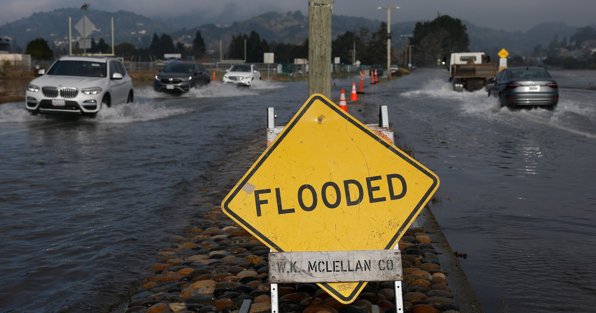 Sea levels are rising. This marsh could save Marin from drowning