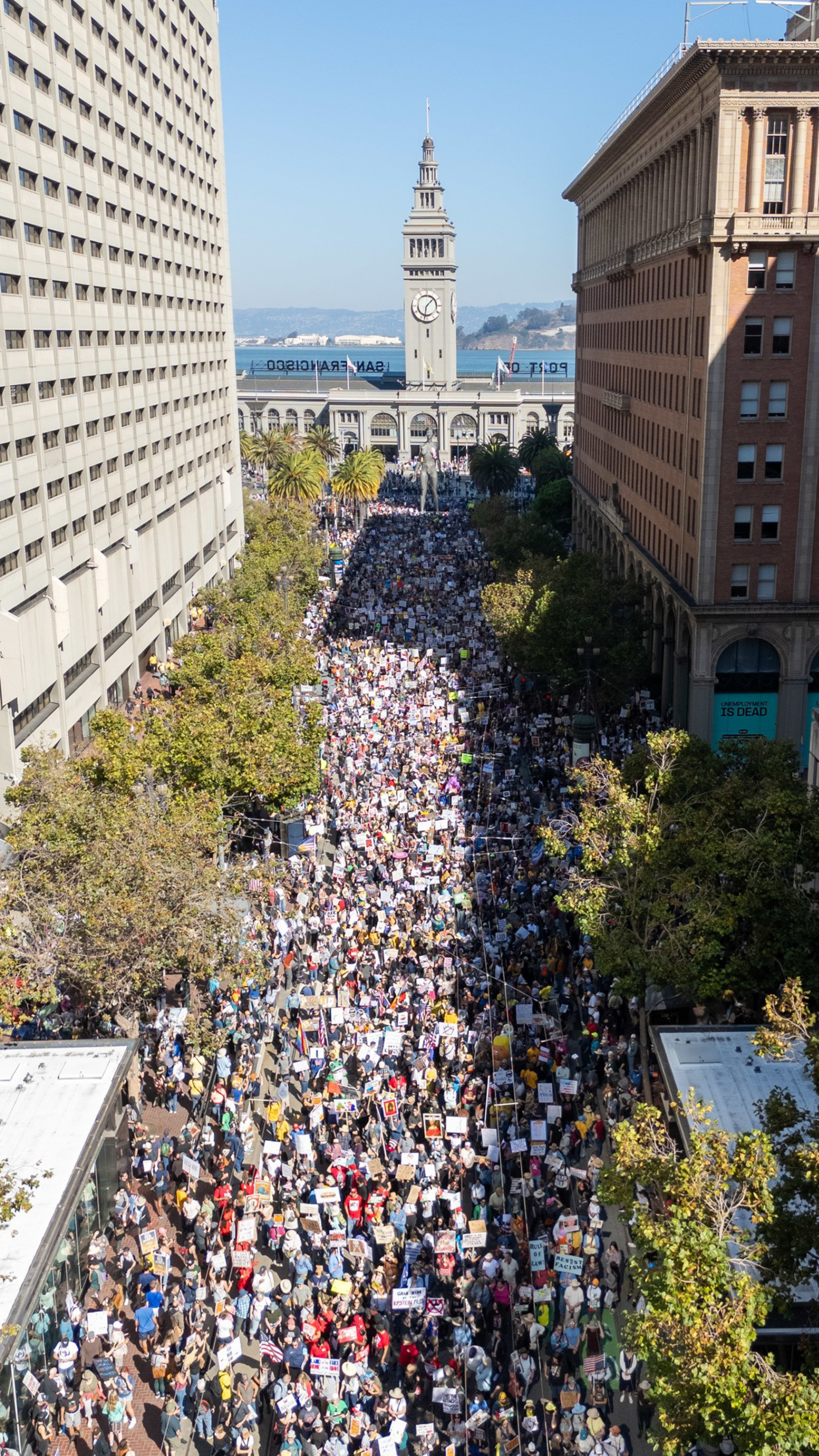 Thousands of people fill a city street between tall buildings, many holding signs, with a clock tower and waterfront visible in the background.