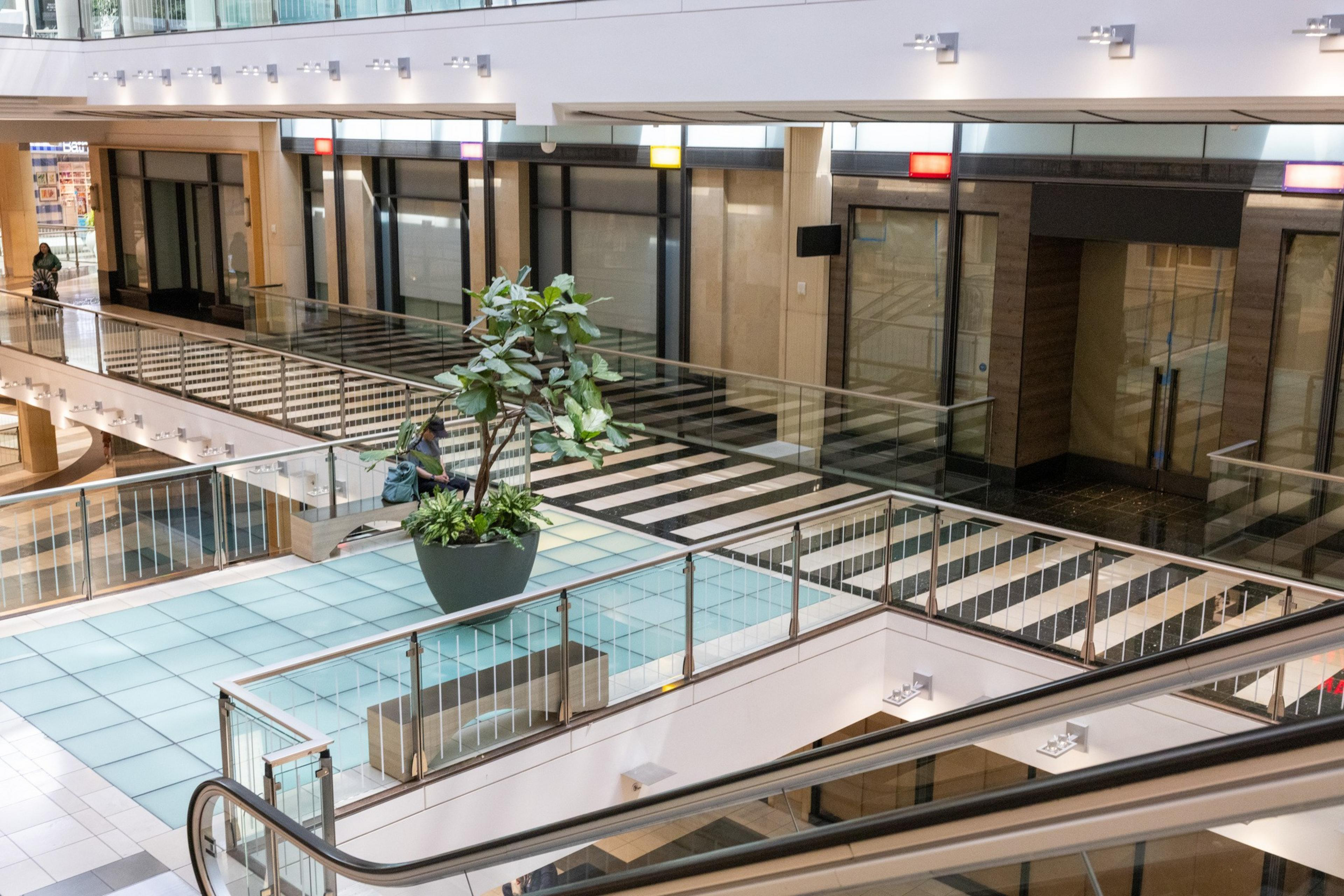 A modern, empty shopping mall interior features glass railings, escalators, a large potted plant, and a striped floor with lights above closed storefronts.