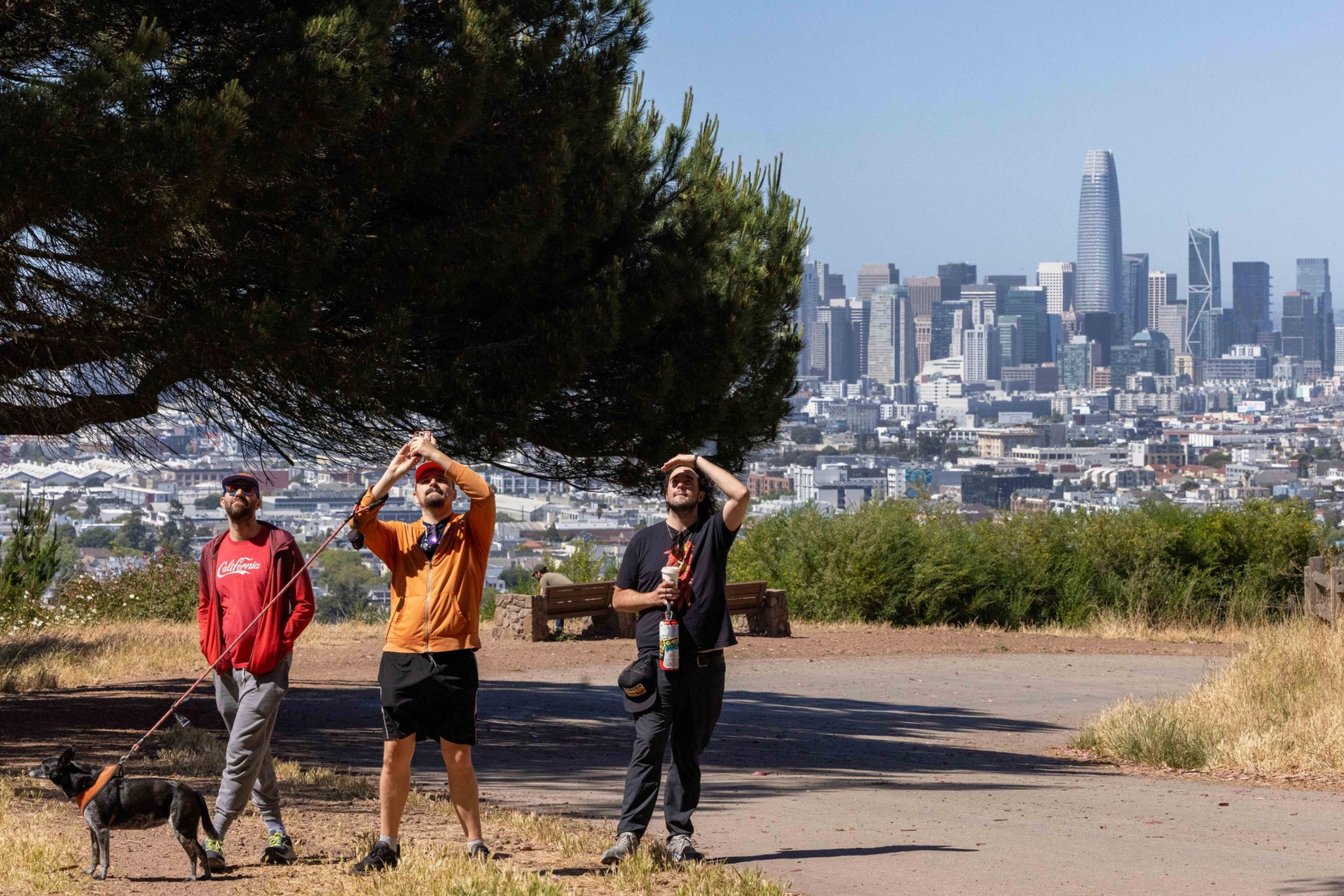 Three men stand on a path, one holding a dog, all looking up. They're surrounded by trees and grass with a city skyline in the background.