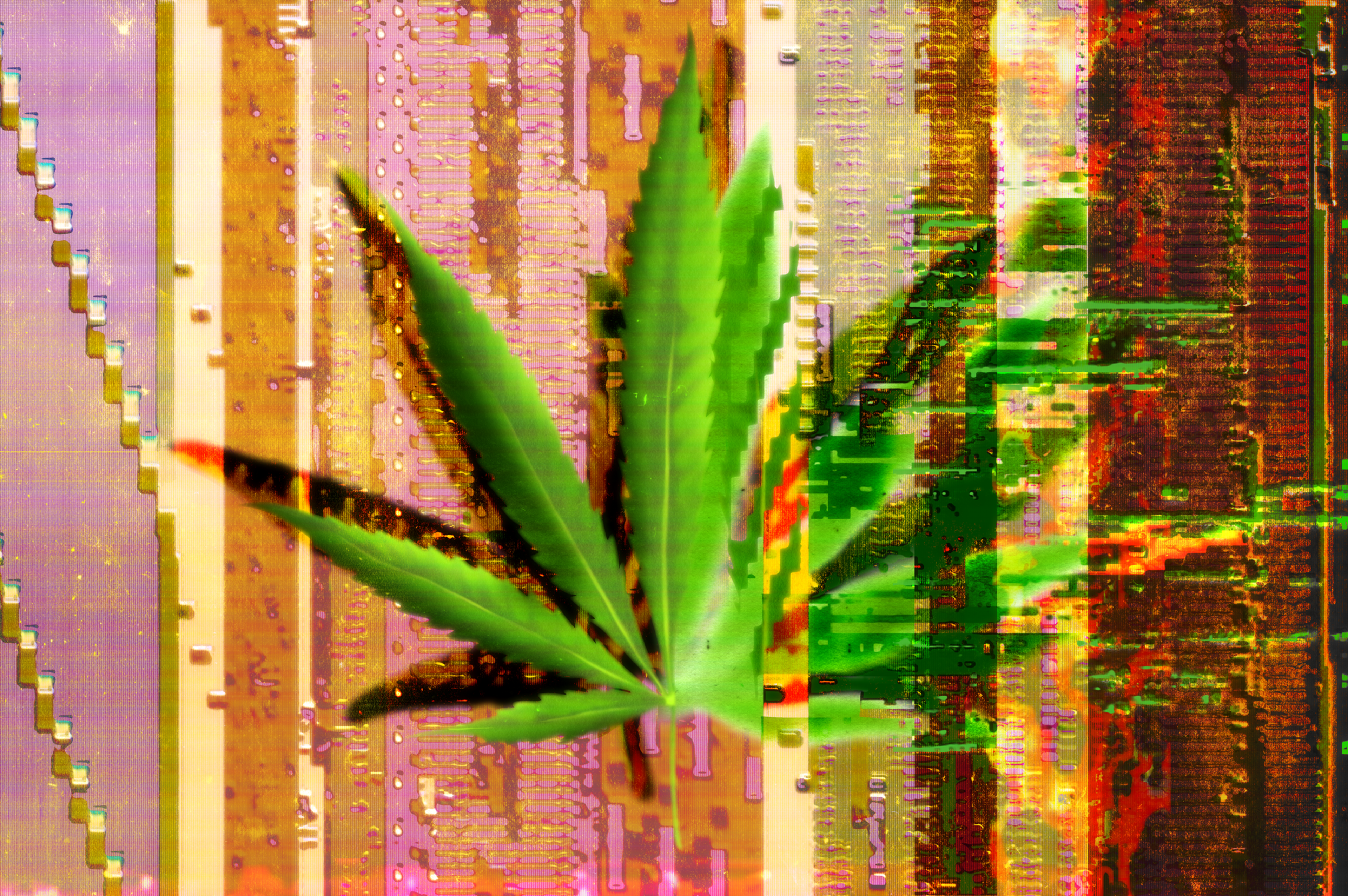 The image features a glitch art piece with a bold green cannabis leaf overlaying a complex, colorful digital background with vertical lines and pixelated patterns.