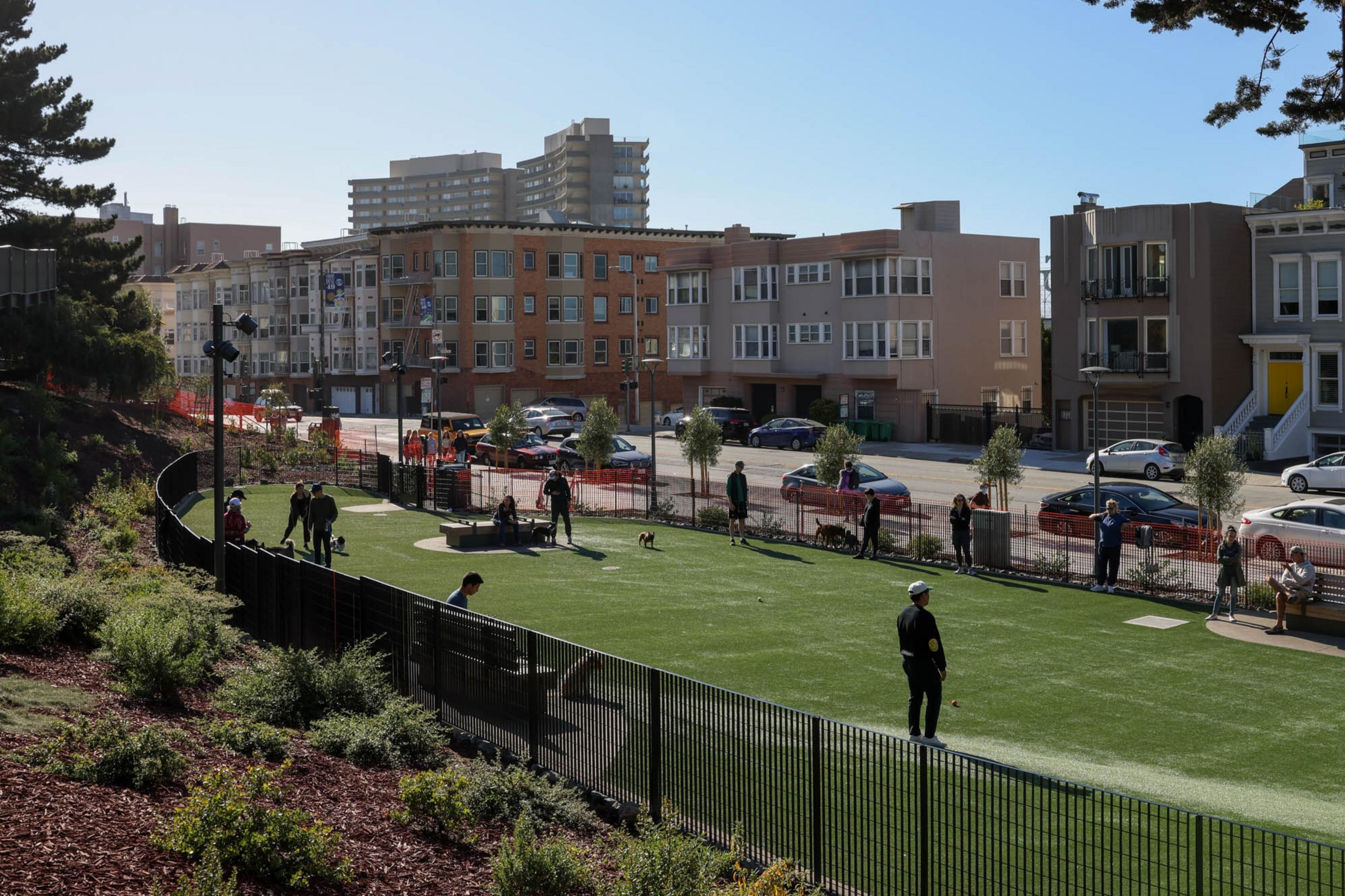 Dog owners and their dogs walk around Francisco Dog Park in San Francisco’s Russian Hill neighborhood on Friday, July 22, 2022.