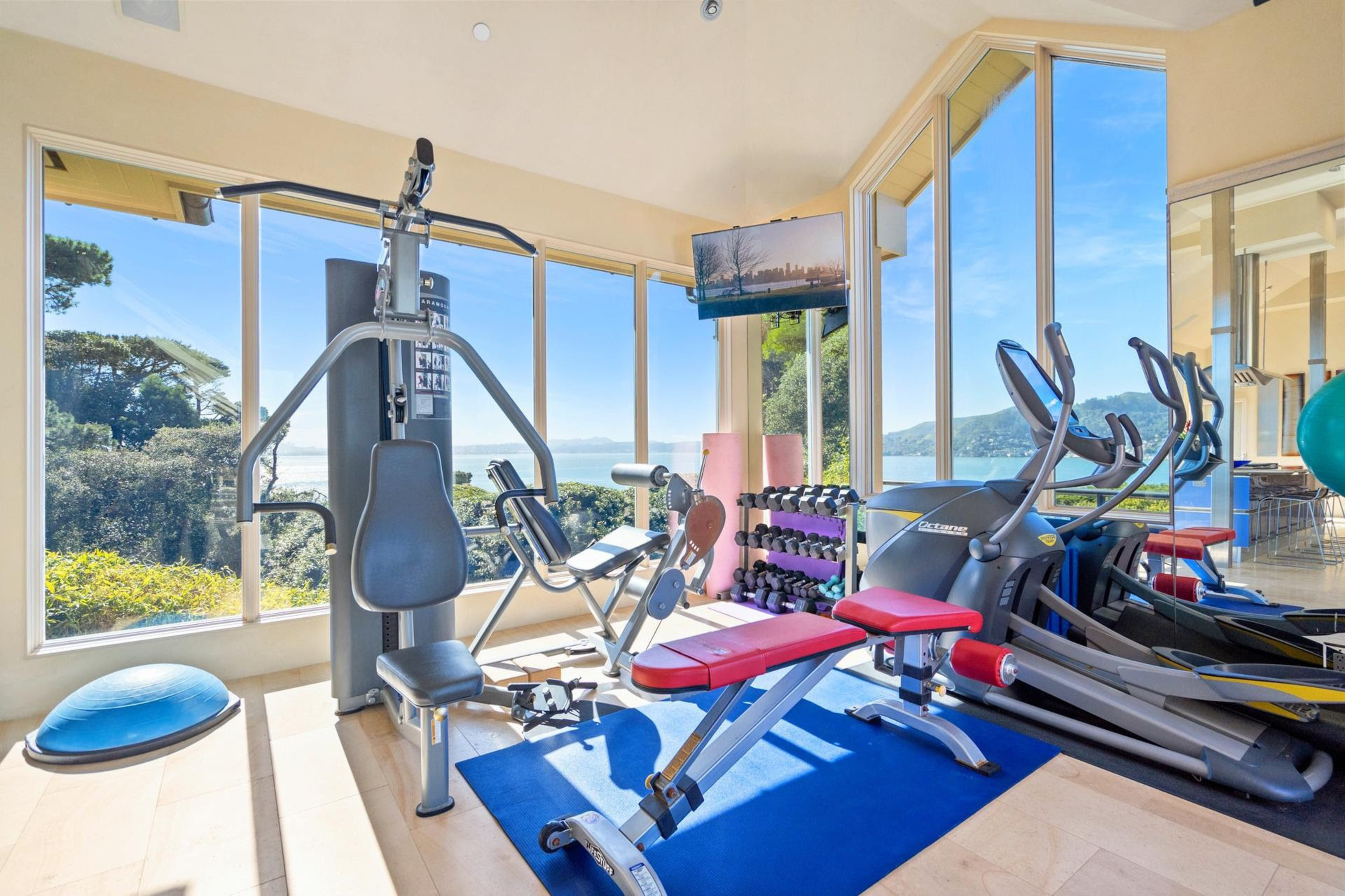 A sunlit home gym with large windows overlooking greenery and water, featuring weight machines, dumbbells, a treadmill, and a wall-mounted TV.