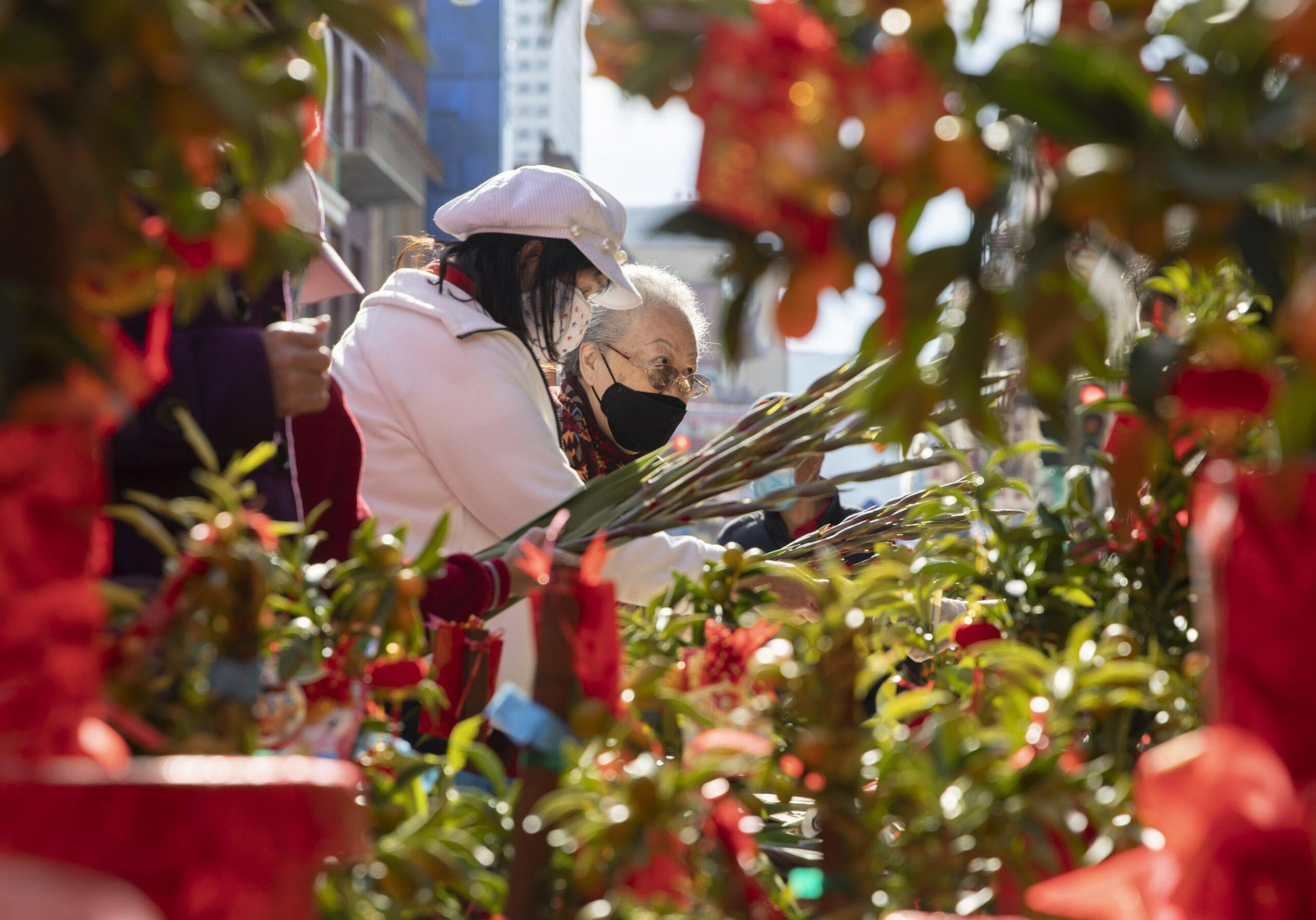 Two people, wearing masks, are browsing through a vibrant display of plants and decorations, with red and green colors prominently featured.