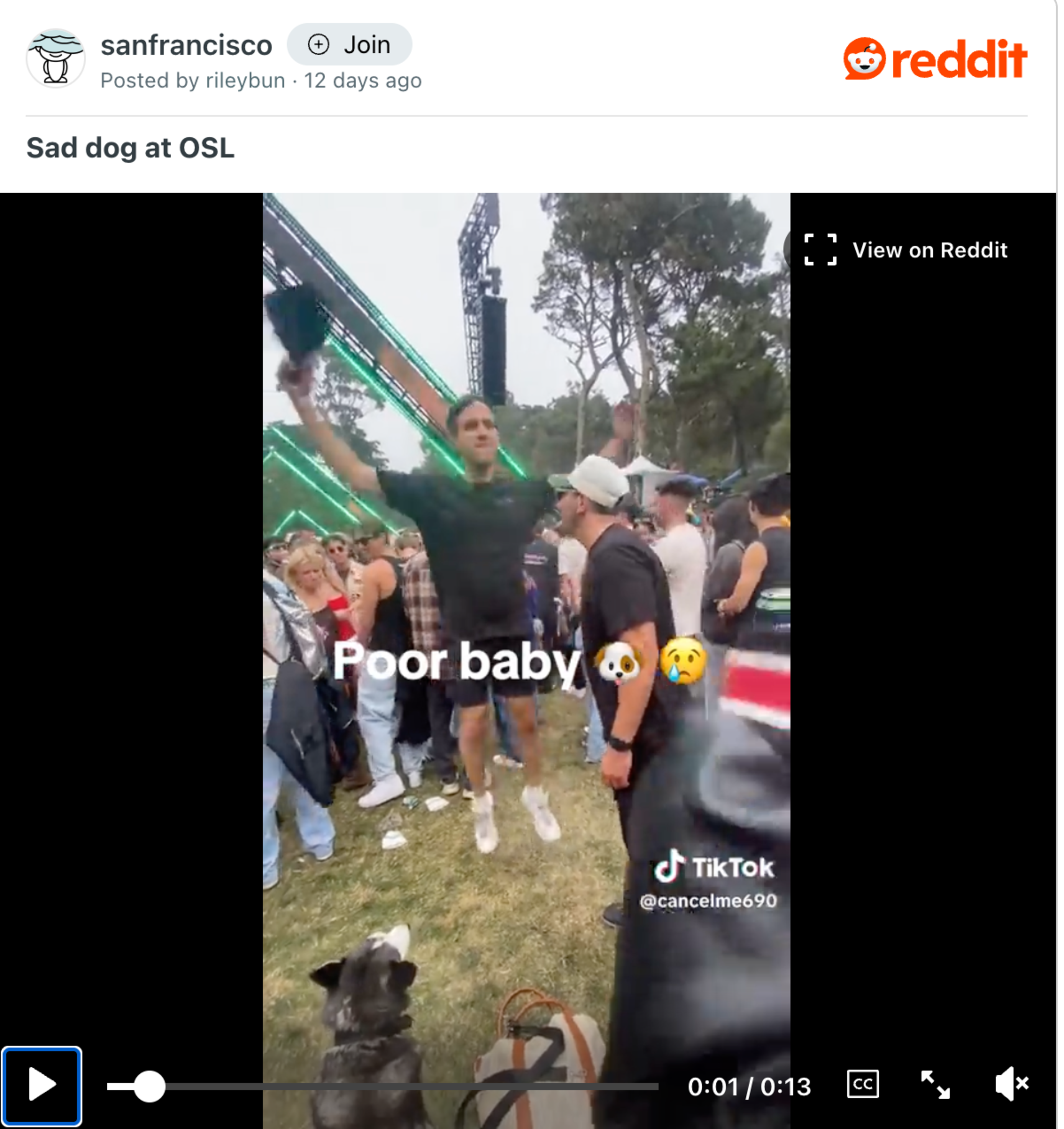 A crowd of people is gathered outdoors at a festival with a dog sitting on the grass looking up, captioned "Poor baby" with a sad dog emoji.