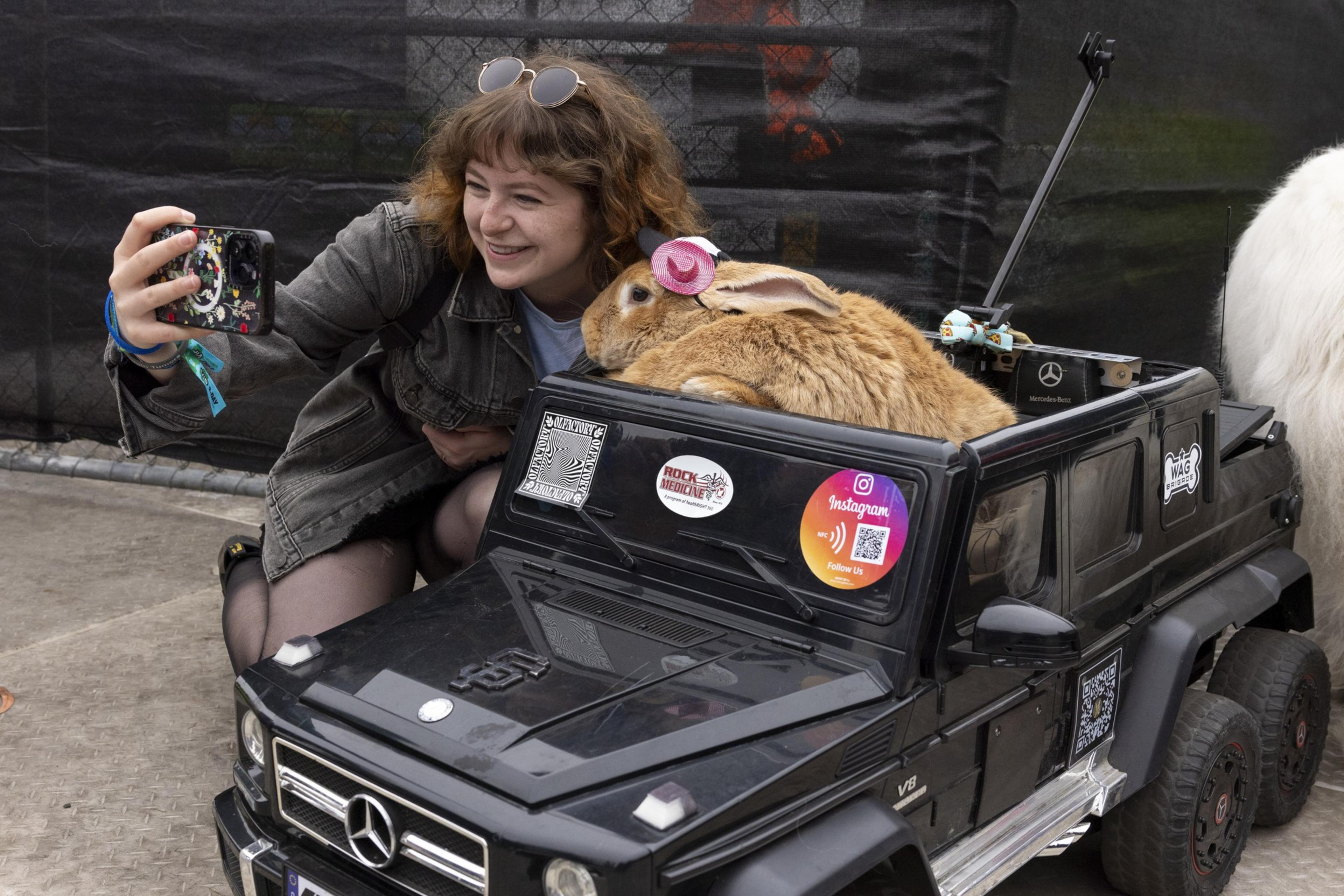 A smiling woman takes a selfie with a large brown rabbit wearing a pink hat, sitting in a black toy Mercedes-Benz car, decorated with various stickers.