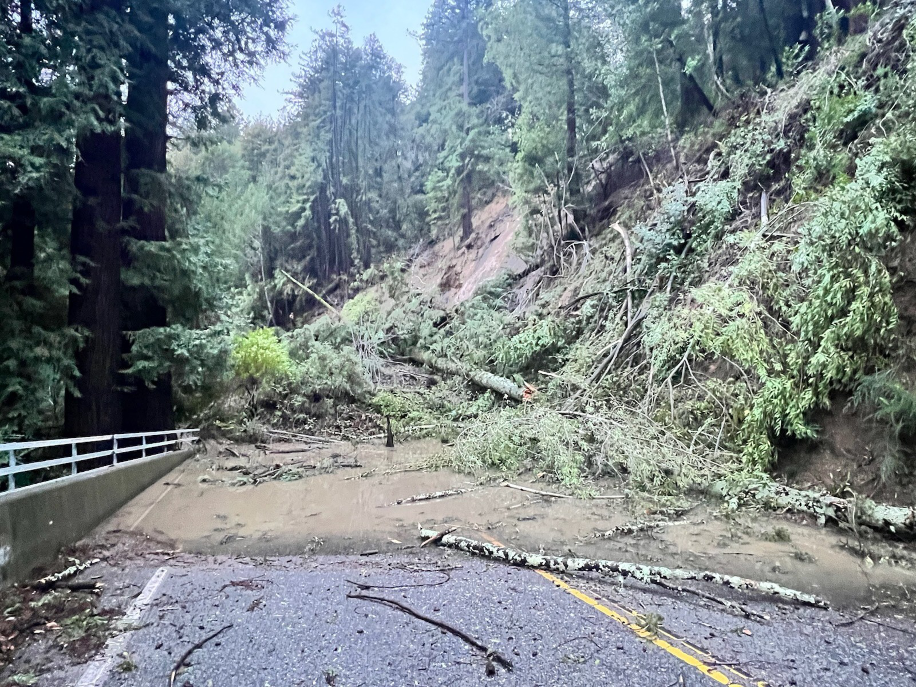 A landslide has covered a mountain road with mud, fallen trees, and branches, blocking the path and surrounding by dense forest.