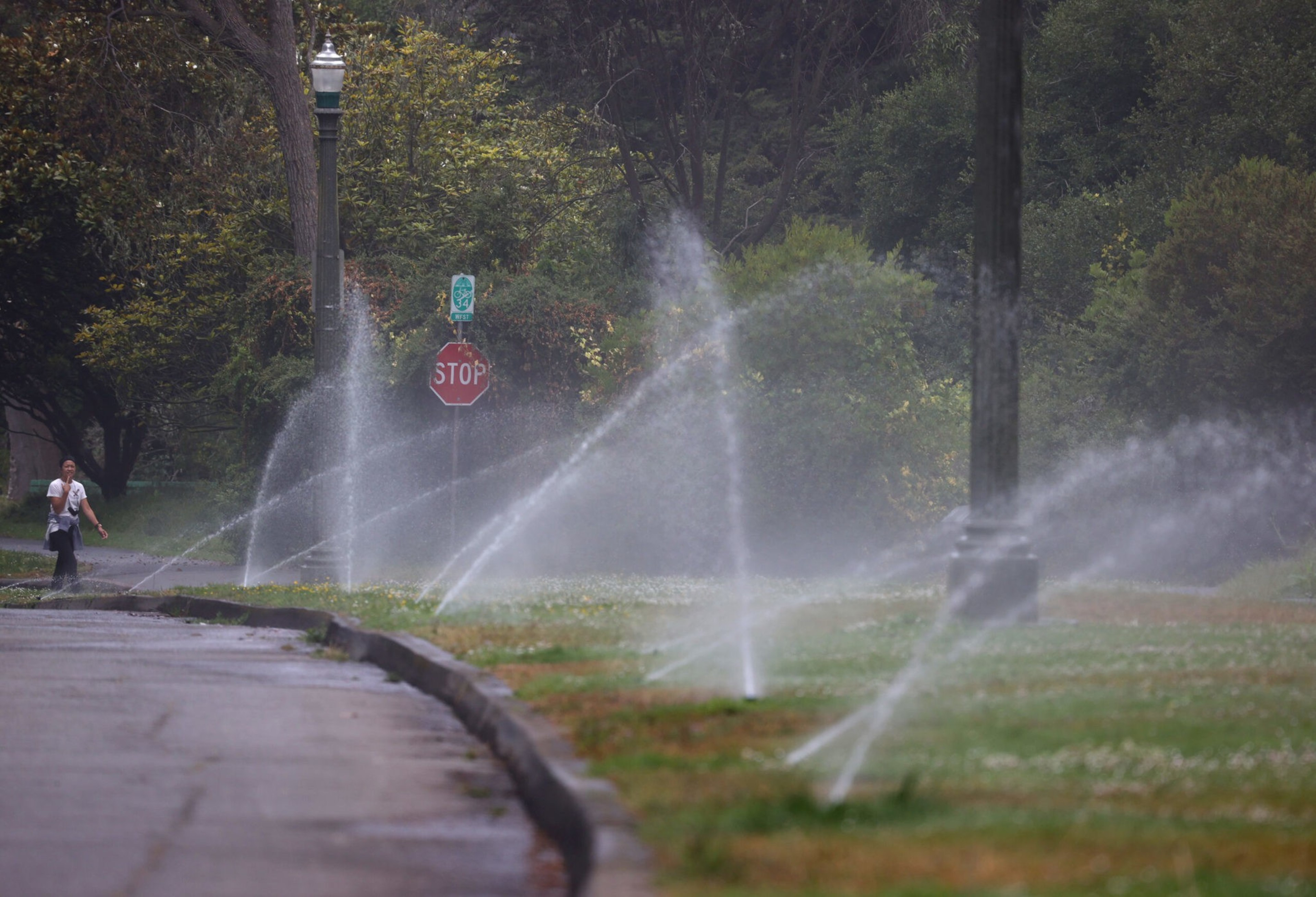 Sprinklers spray water across a grassy area beside a gray sidewalk with trees and a stop sign in the background. A person walks near the sidewalk.