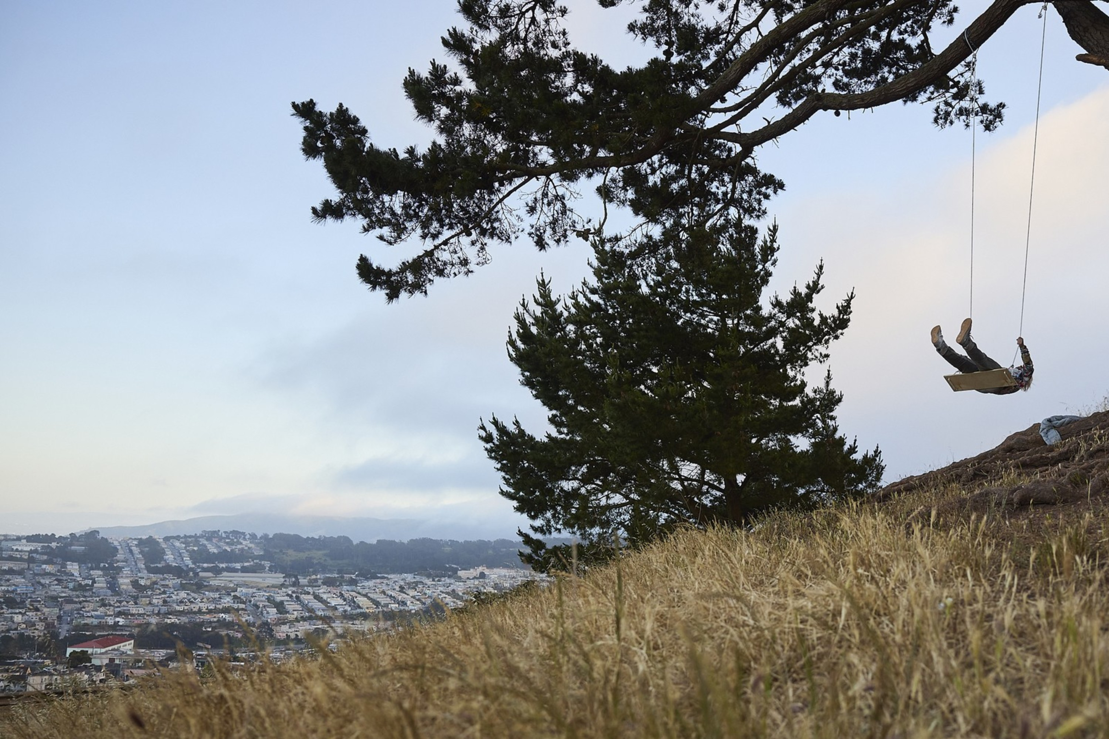A person swings from a tree on a hill, with a scenic view of a city in the background. The ground is grassy and the sky is clear with light clouds.