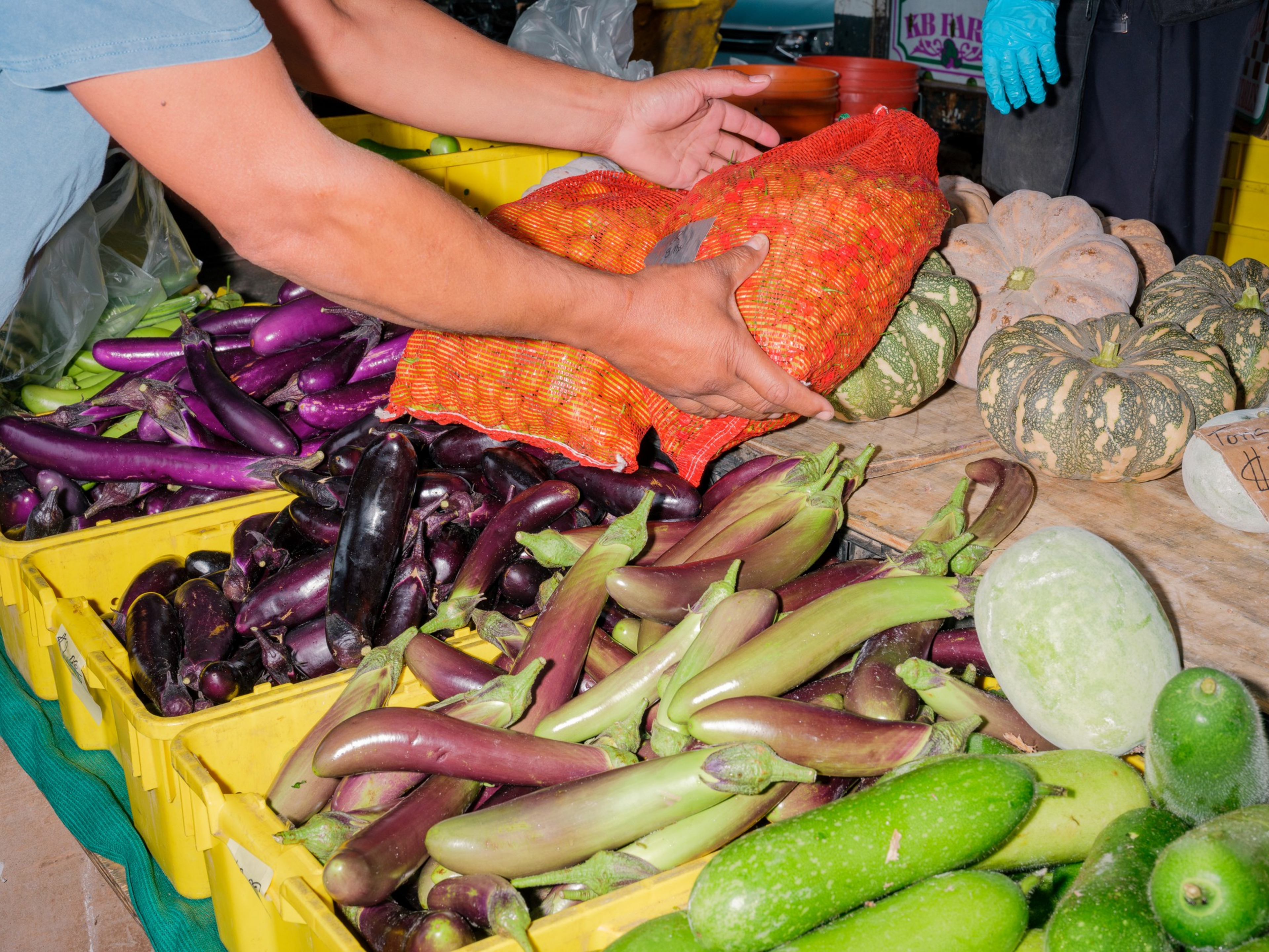 A person holds a red mesh bag of onions over yellow crates filled with various eggplants, green cucumbers, and round squash on a market table.